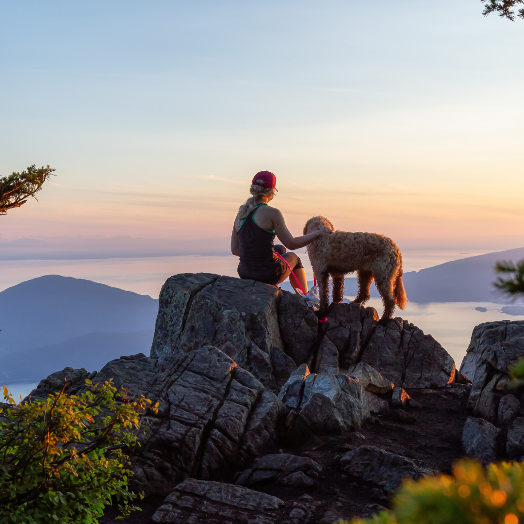 Hiking With Dogs: The Essential Guide | Pawdaw of London
