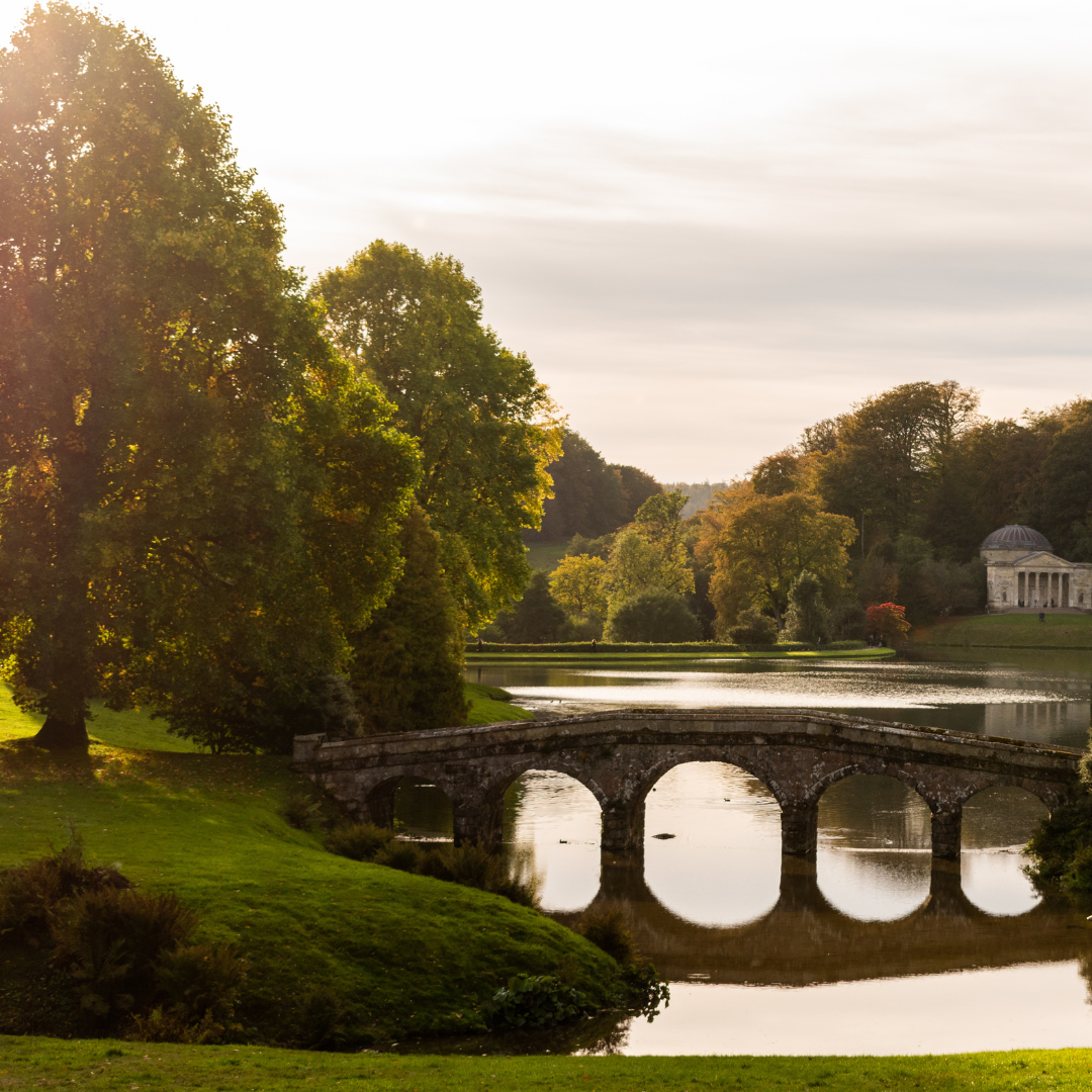 Top 30 Dog-Friendly Walks in the UK |  Pawdaw of London