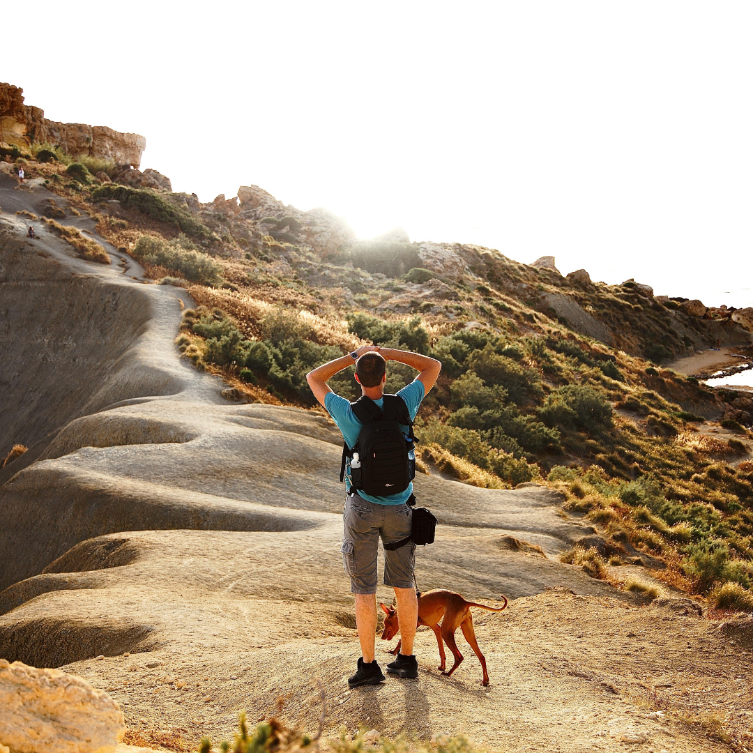 Finding The Best Dog-Friendly Trails | Pawdaw of London
