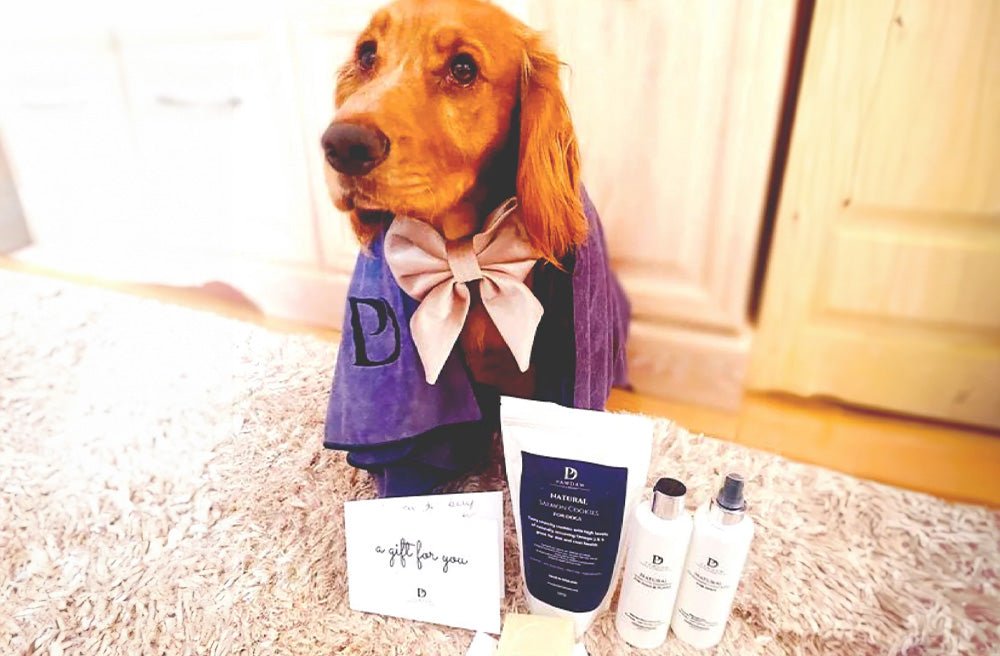 Curated Dog Gift Sets - Pawdaw of London
