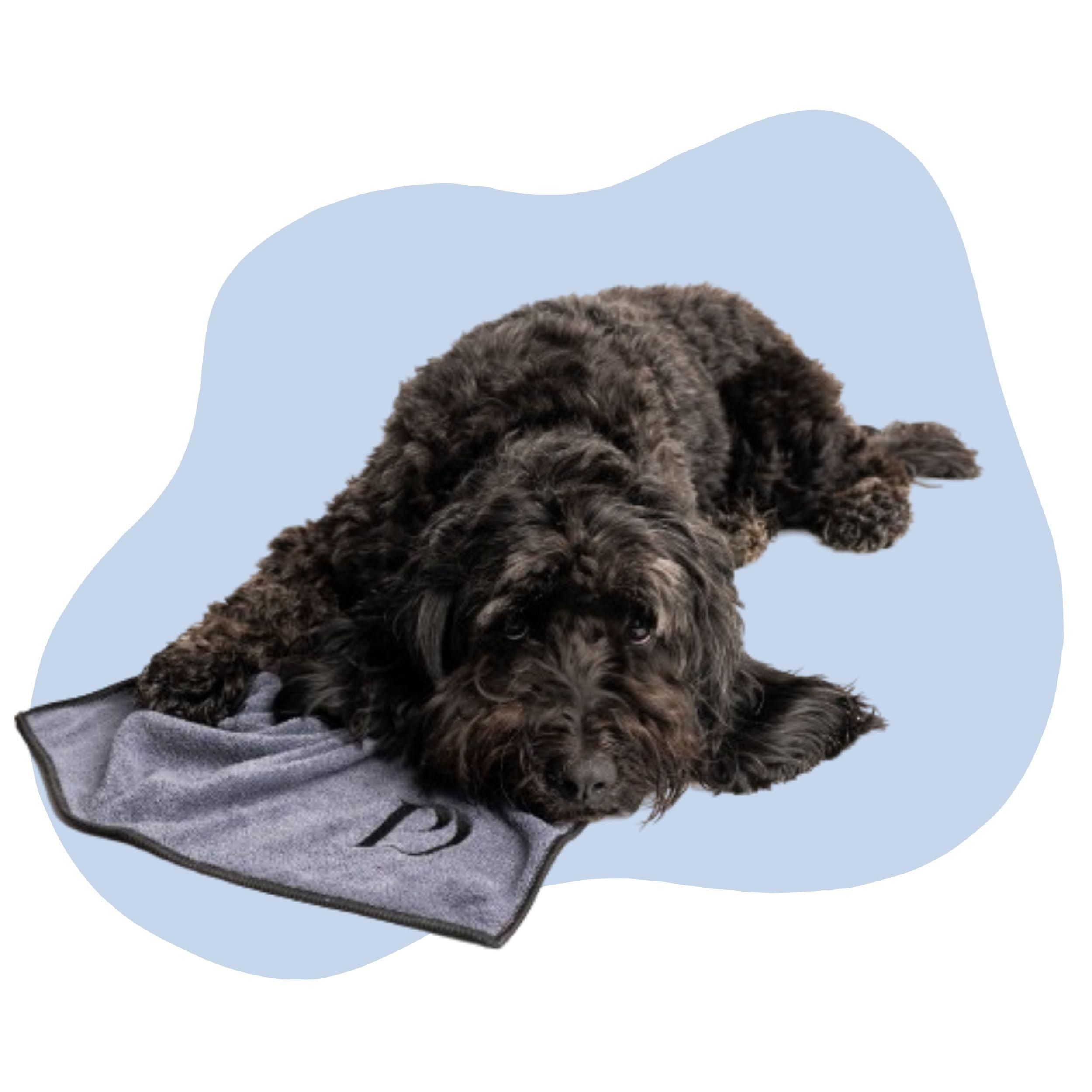 Luxury Paw Towels - Pawdaw of London