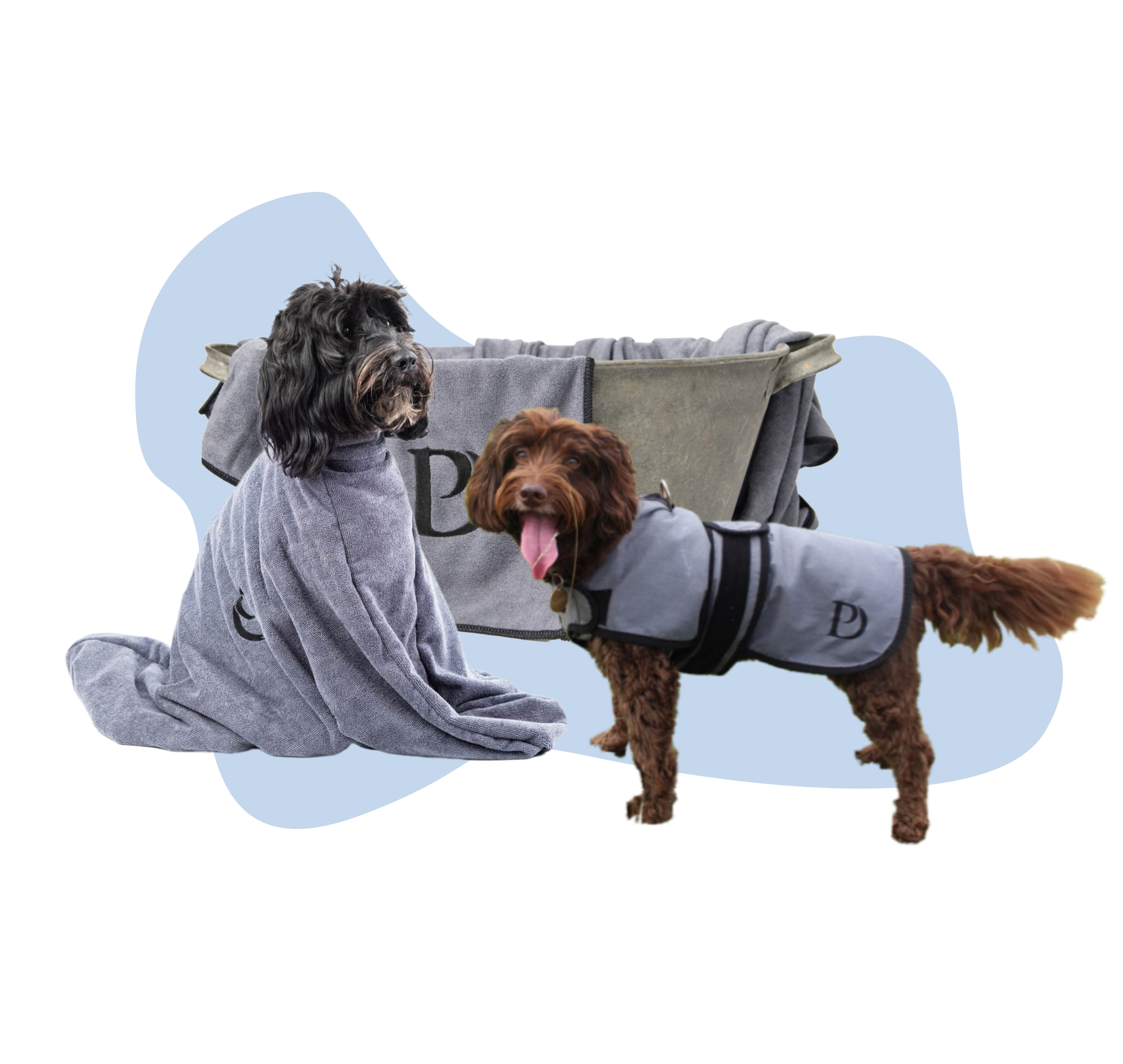 Luxury Dog Products