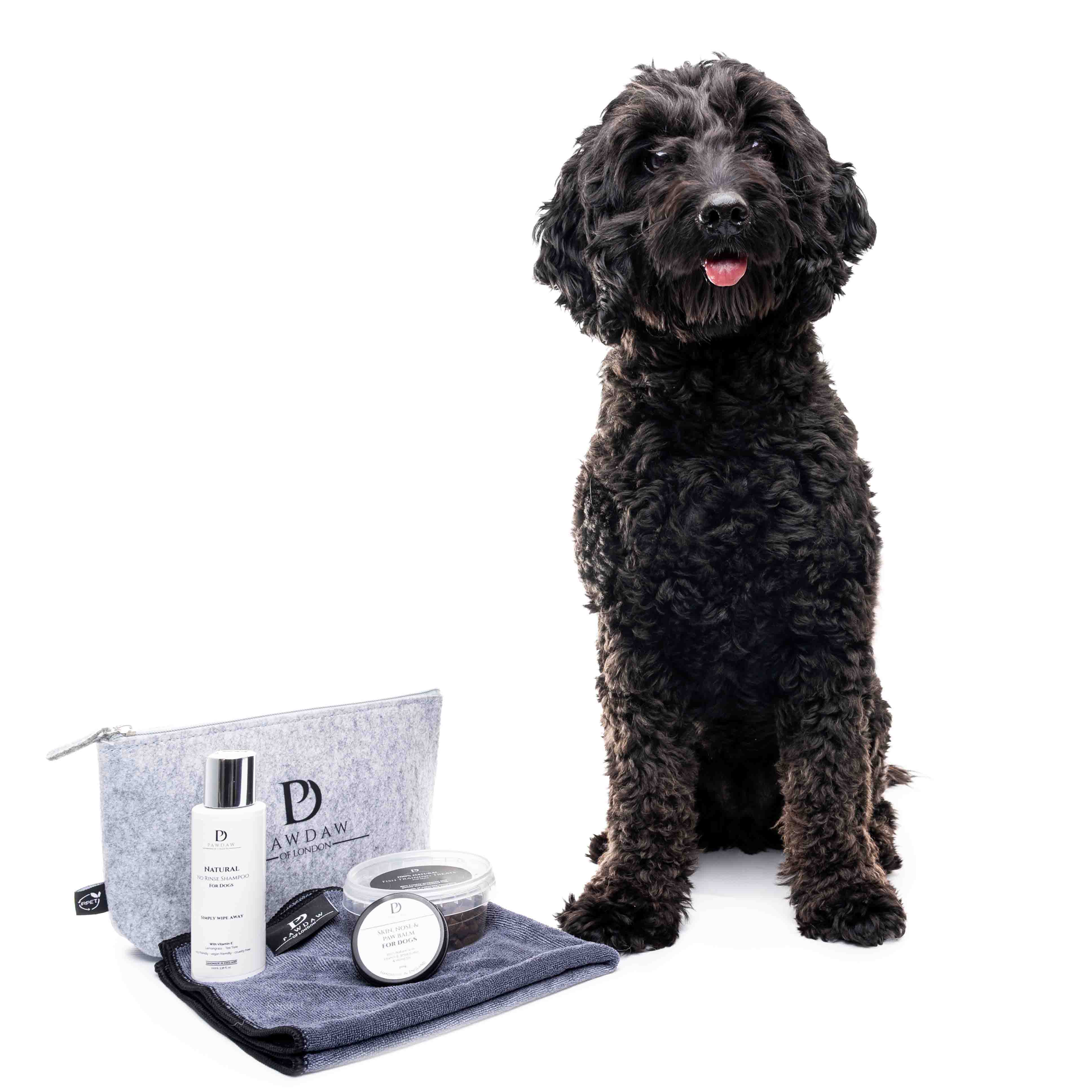Luxury Amenity Gift Pack for Dogs