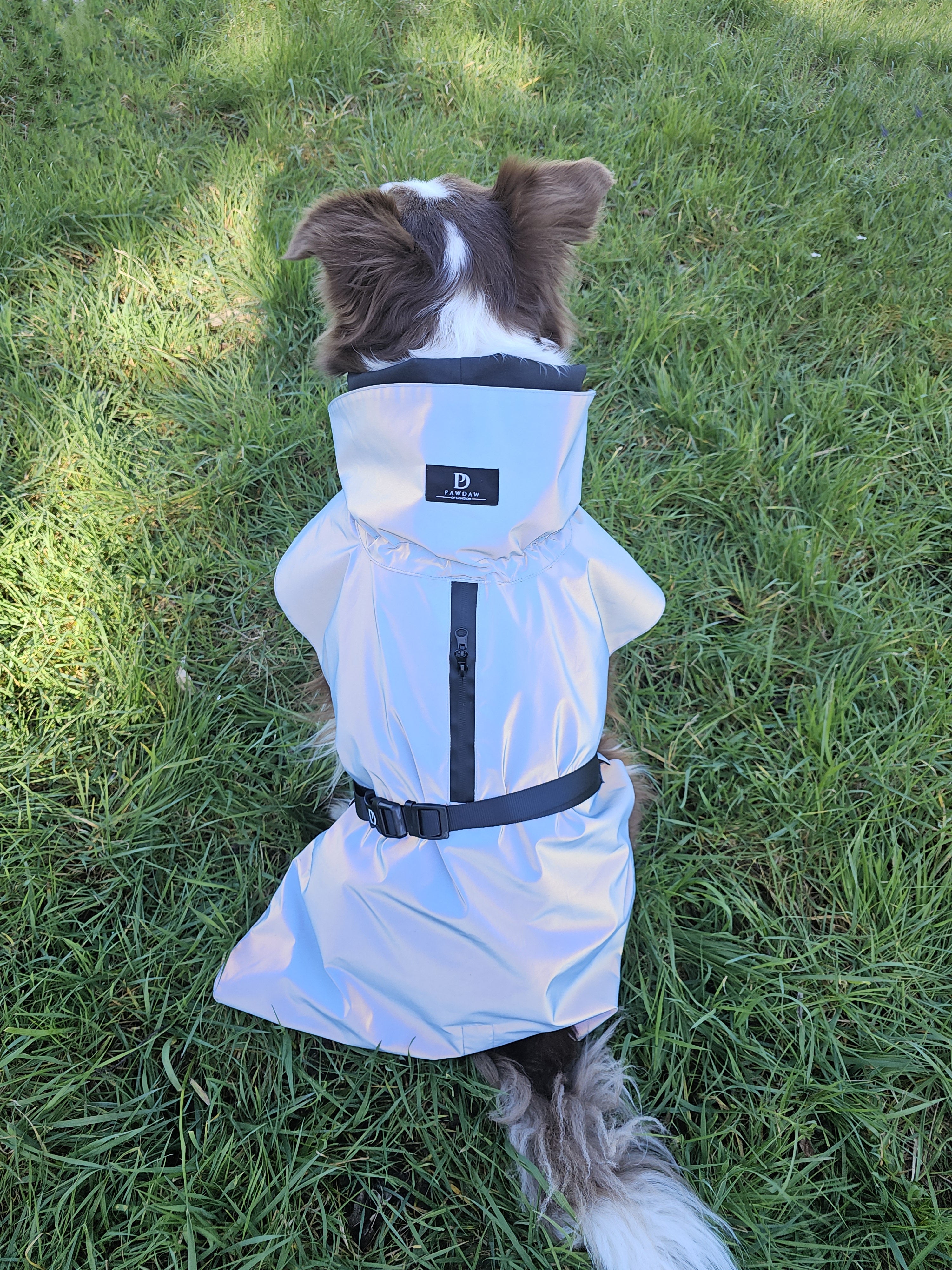 Waterproof Rainbow Reflective Raincoat for Dogs - Sky Blue - NEW!!