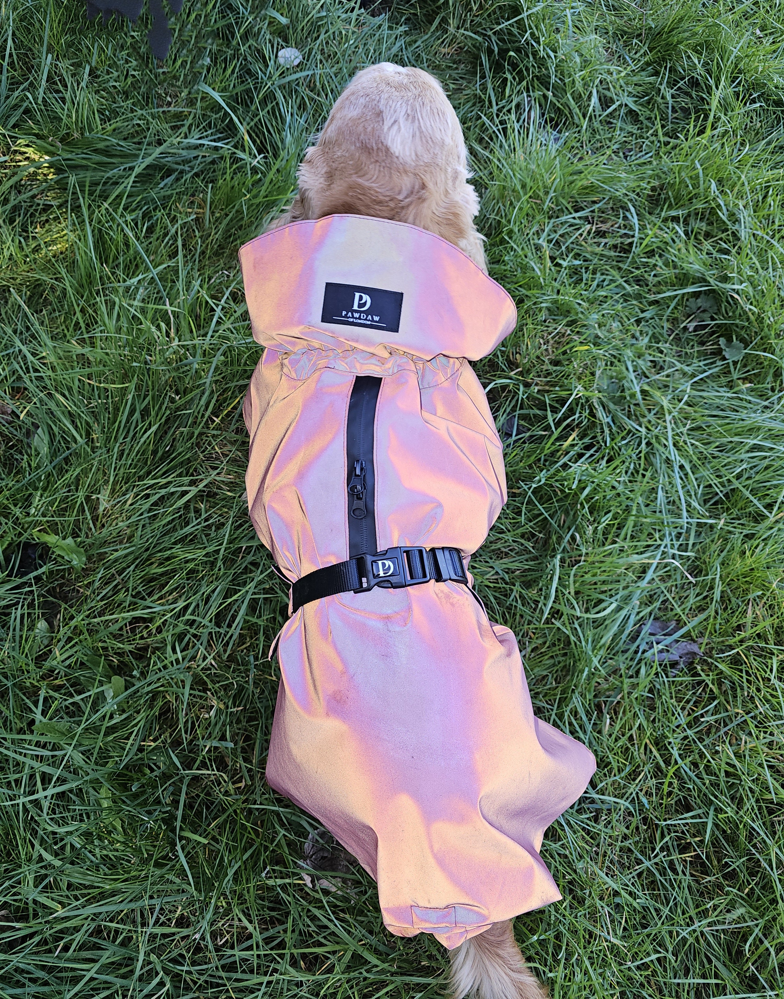 Waterproof Rainbow Reflective Raincoat for Dogs - Burgundy - NEW!!