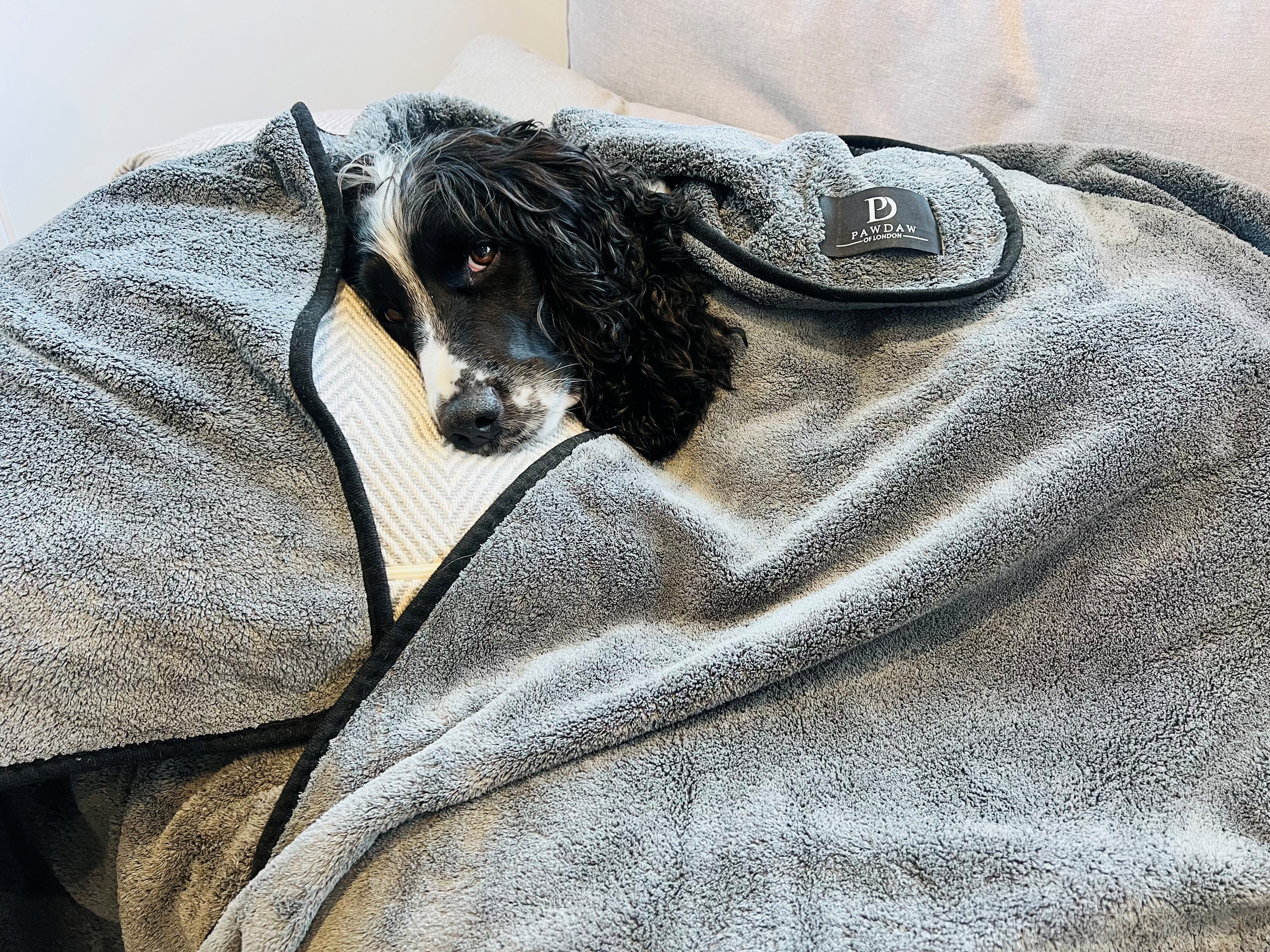 Luxury Throw & Dog Blanket