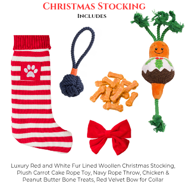 Christmas Dog Stocking Bundle (Carrot Cake) with Toys & Treats
