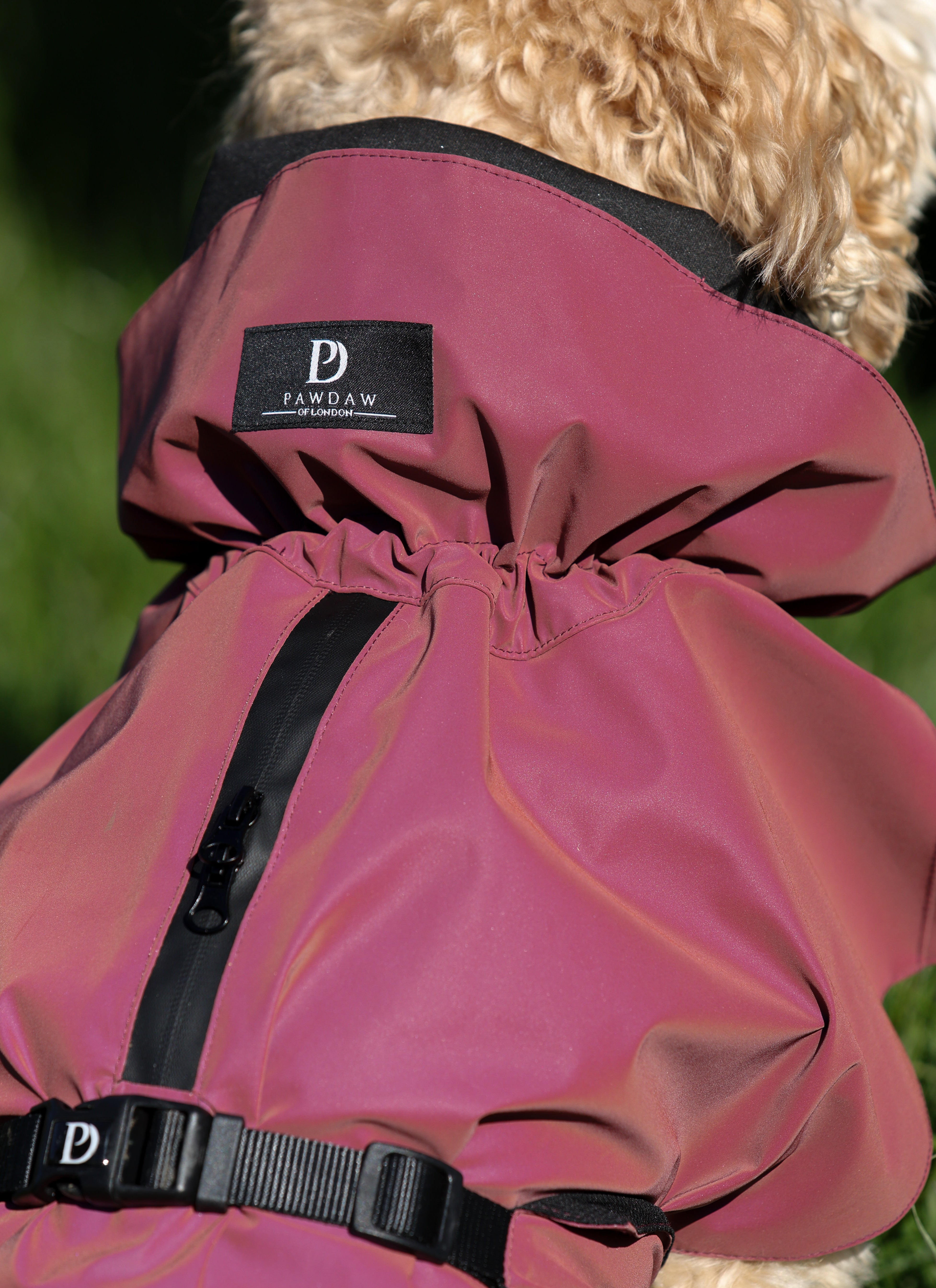Waterproof Rainbow Reflective Raincoat for Dogs - Burgundy - NEW!!