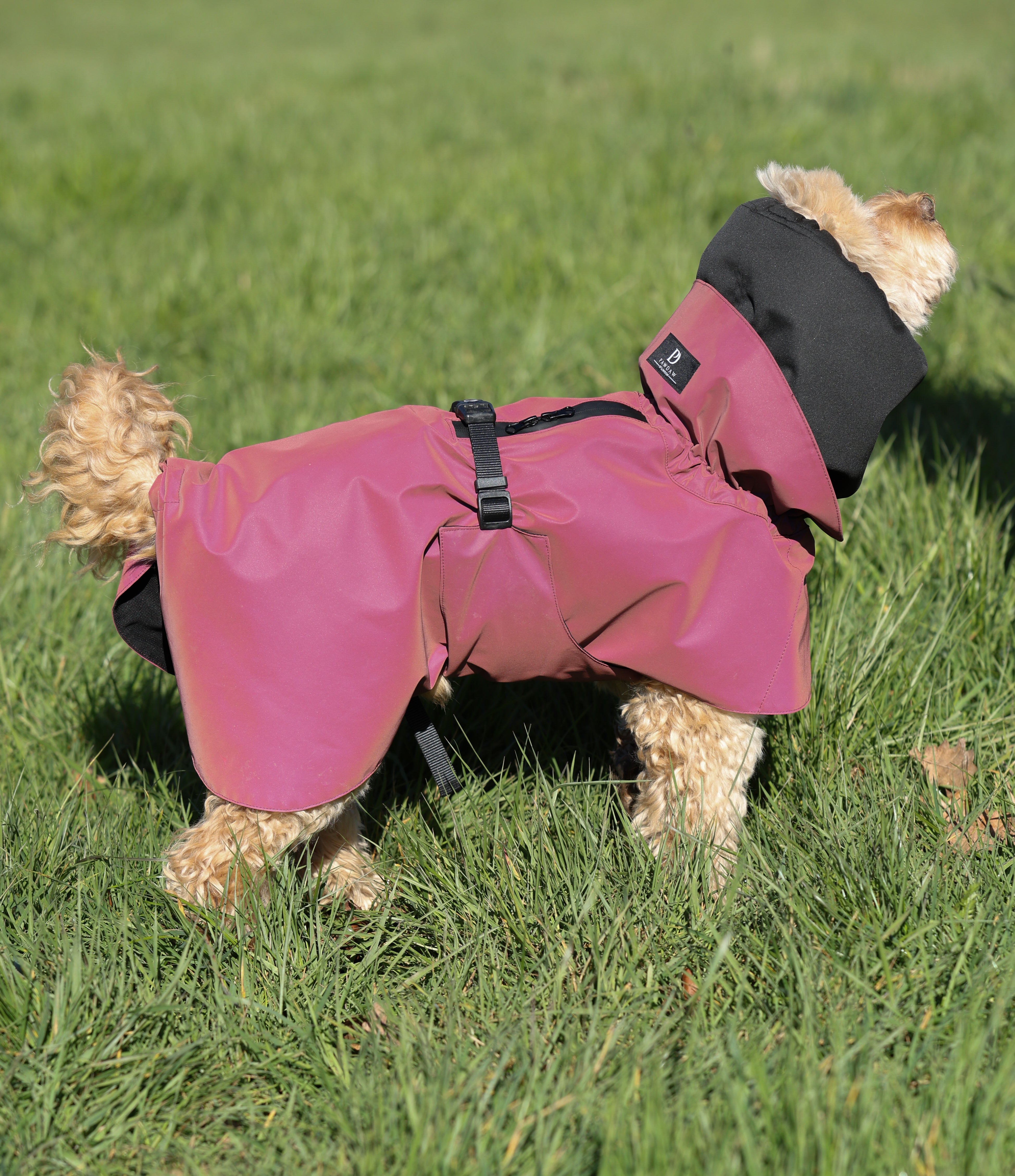 Waterproof Rainbow Reflective Raincoat for Dogs - Burgundy - NEW!!