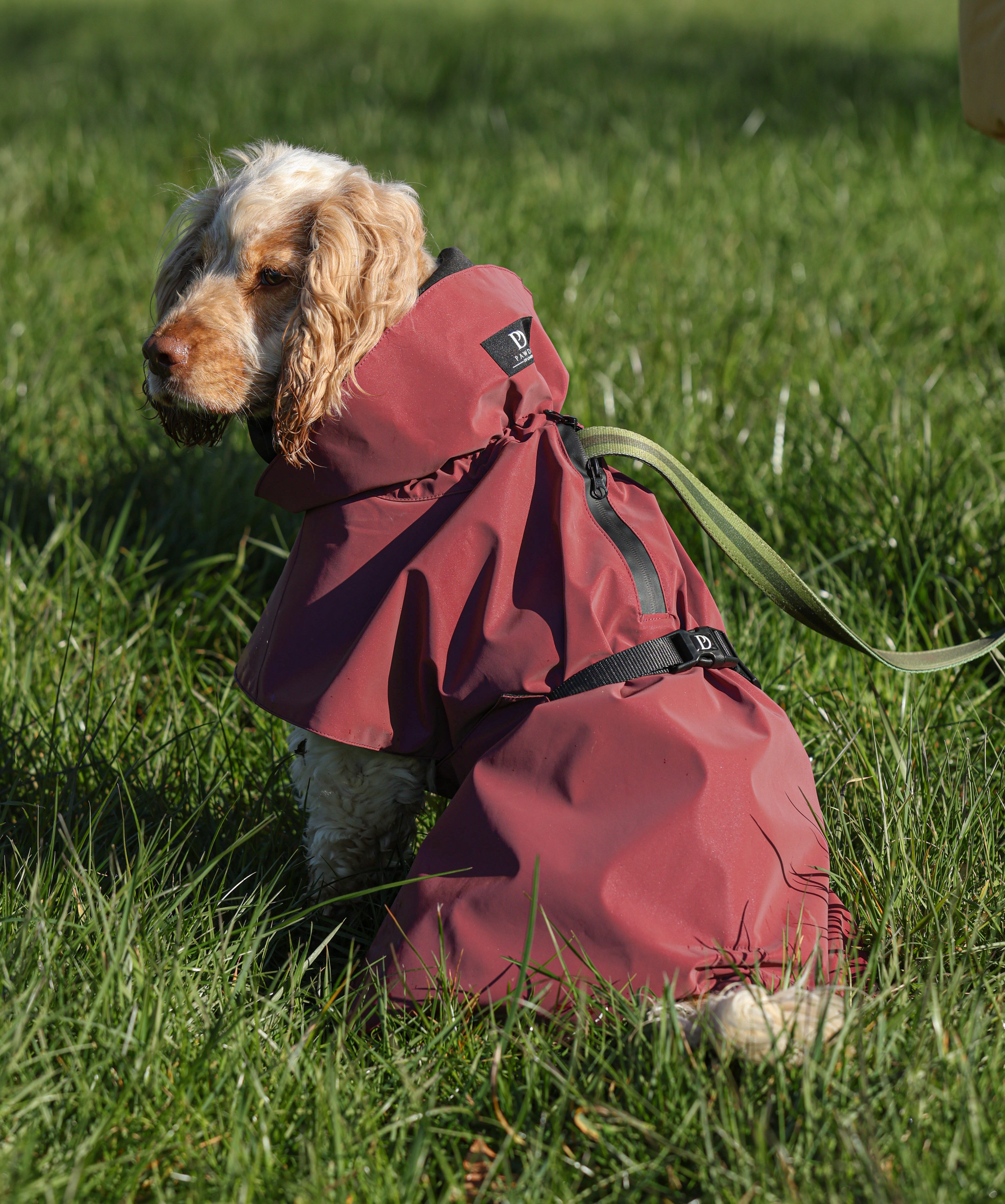 Waterproof Reflective Dog Raincoat
