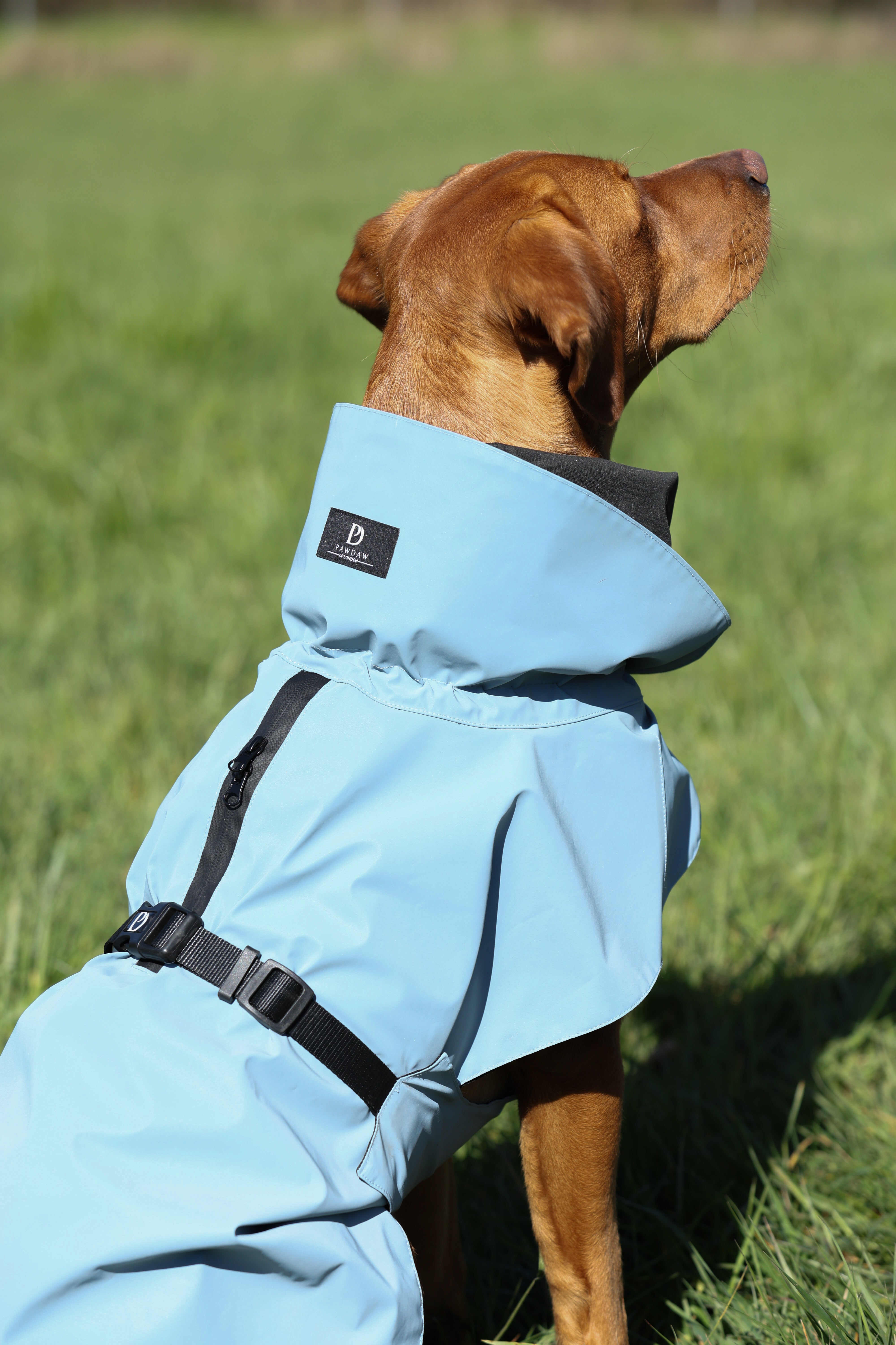 Waterproof Reflective Dog Raincoat