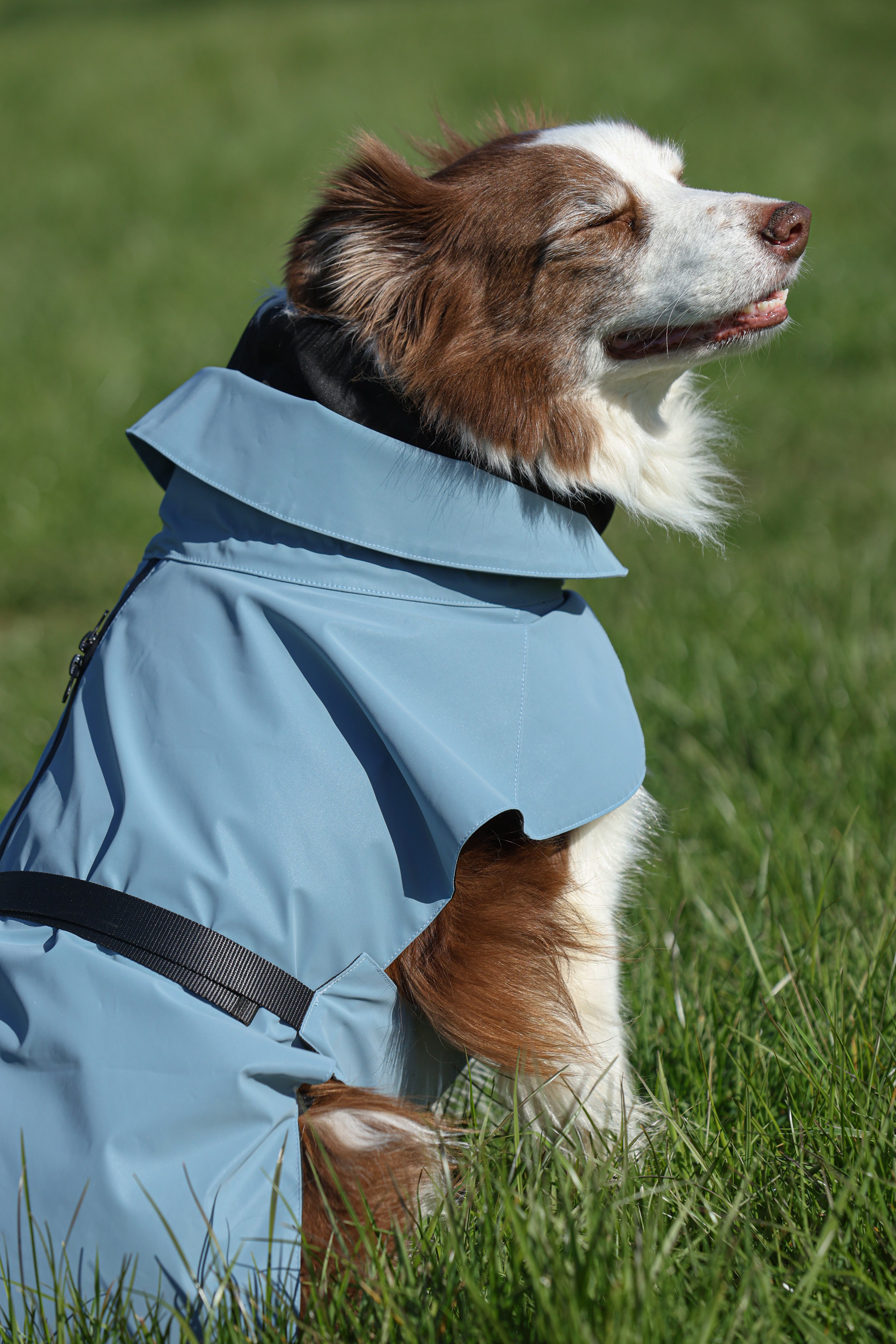 Waterproof Rainbow Reflective Raincoat for Dogs - Sky Blue - NEW!!