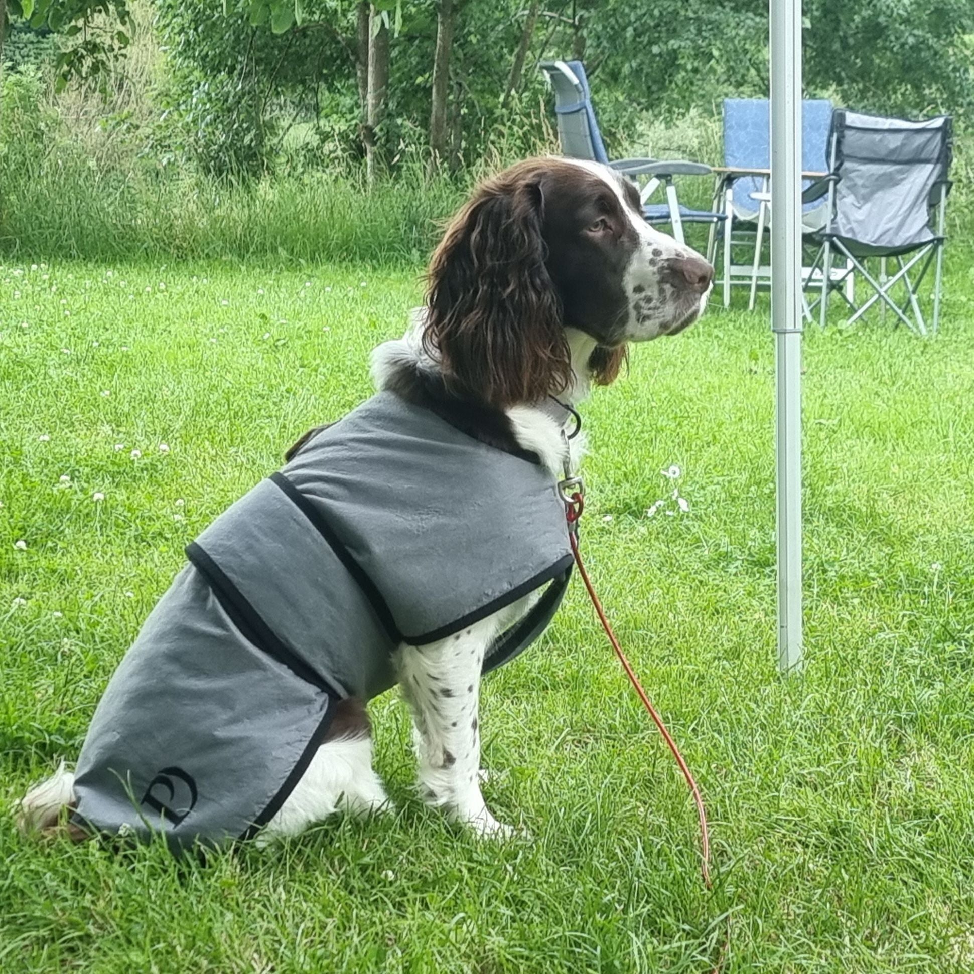 Luxury Dog Cooling Coat