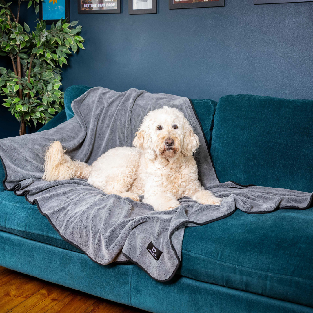Luxury Throw & Dog Blanket