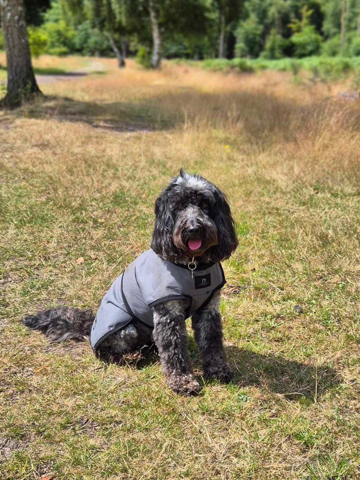 Luxury Dog Cooling Coat - Pawdaw of London