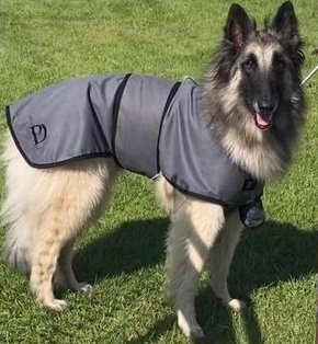 Luxury Dog Cooling Coat - Pawdaw of London