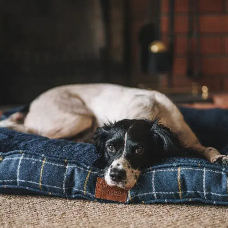 Navy Check Tweed Boxed Duvet Dog Bed - Pawdaw of London