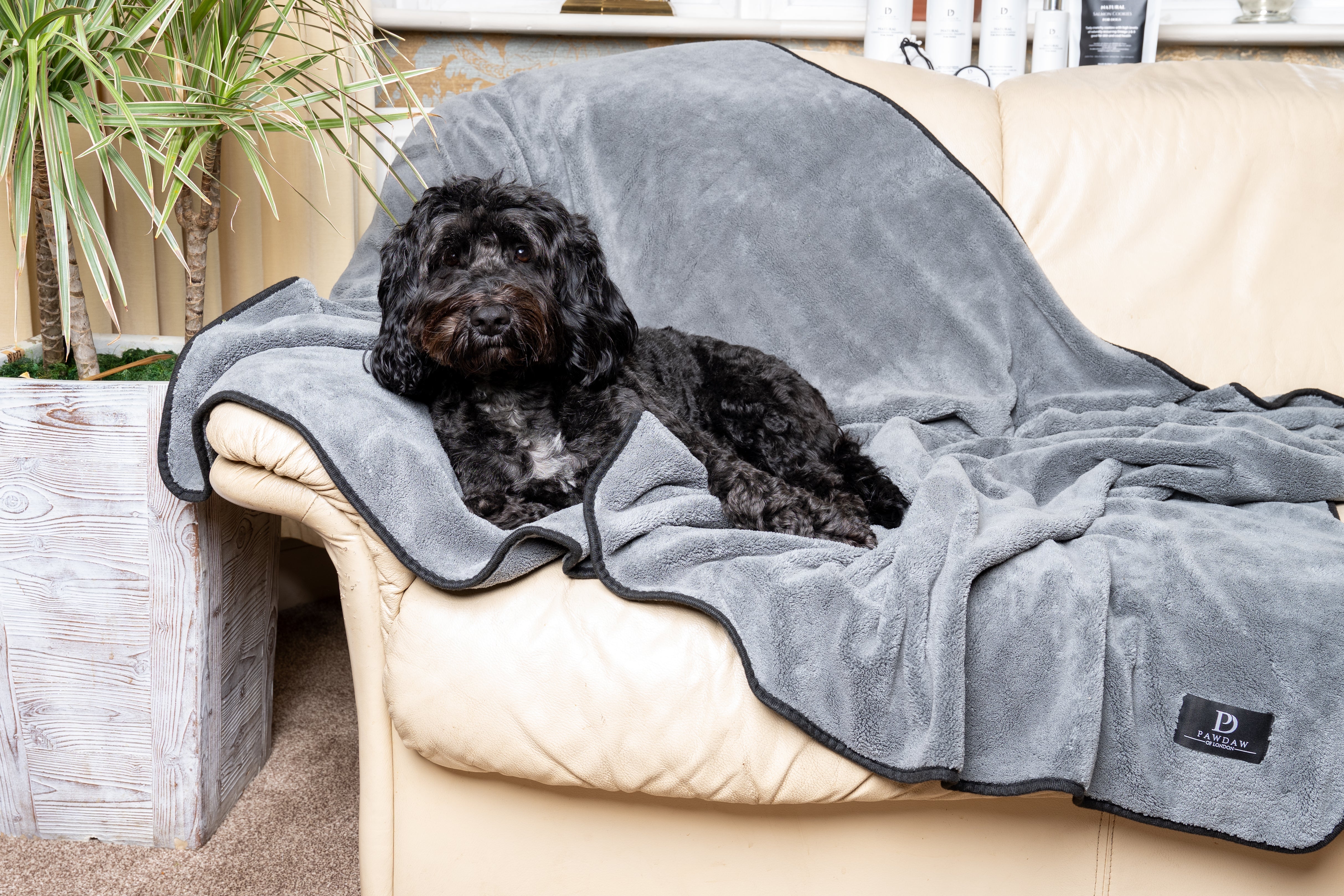 **NEW** Luxury Sofa Throw & Dog Blanket - Pawdaw of London