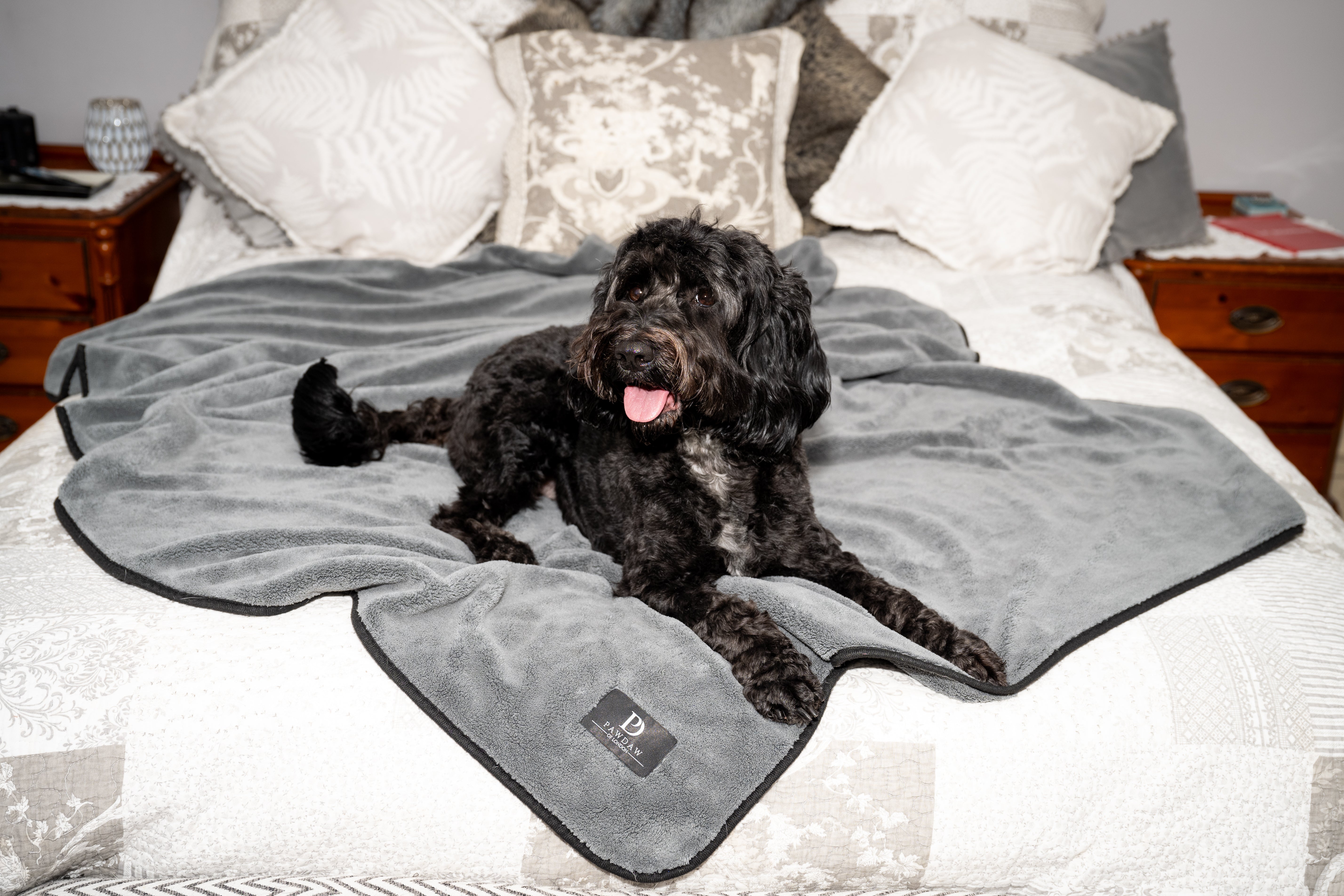 *NEW* Luxury Throw & Dog Blanket - Pawdaw of London