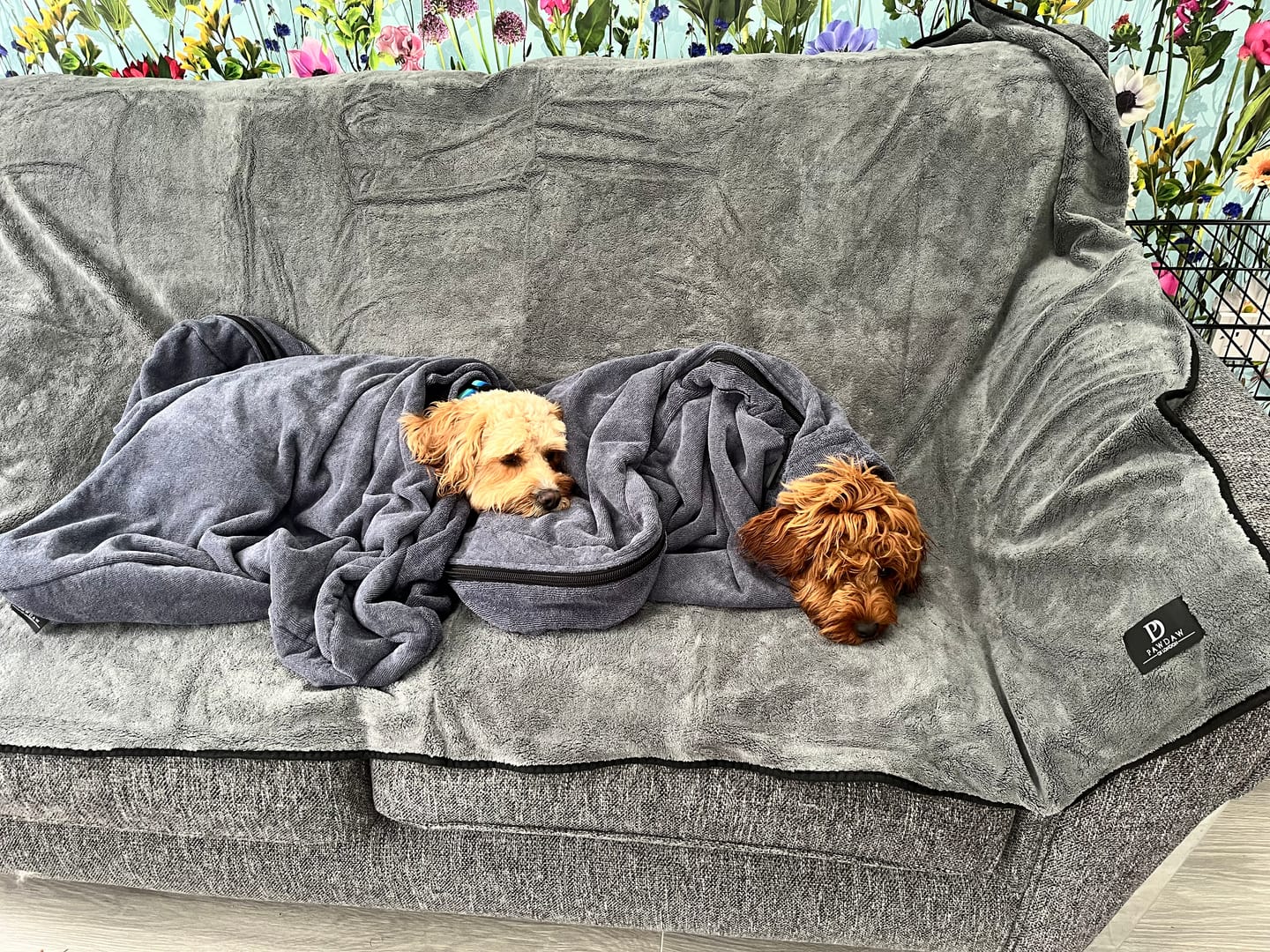 *NEW* Luxury Throw & Dog Blanket - Pawdaw of London