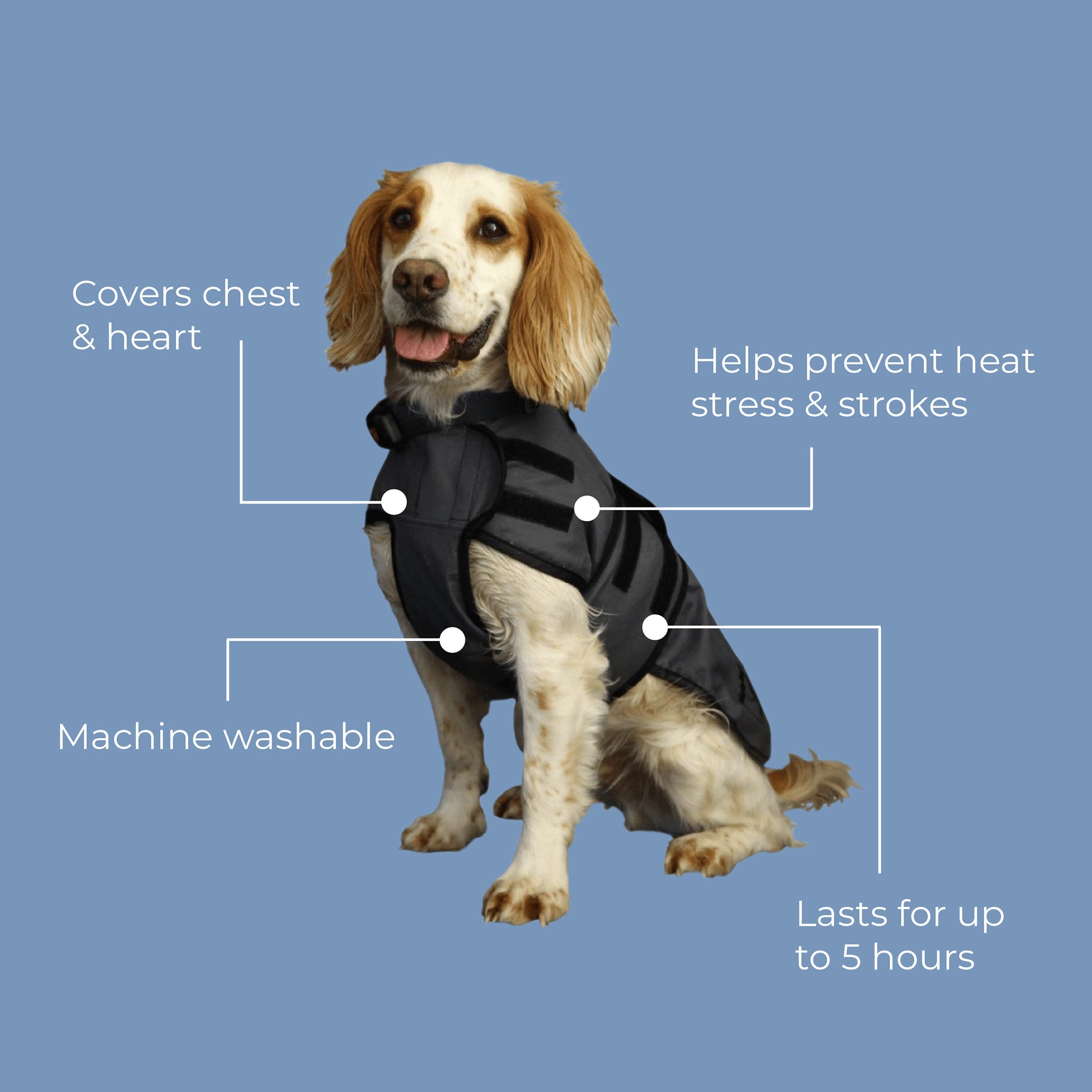 Luxury Dog Cooling Coat - Pawdaw of London