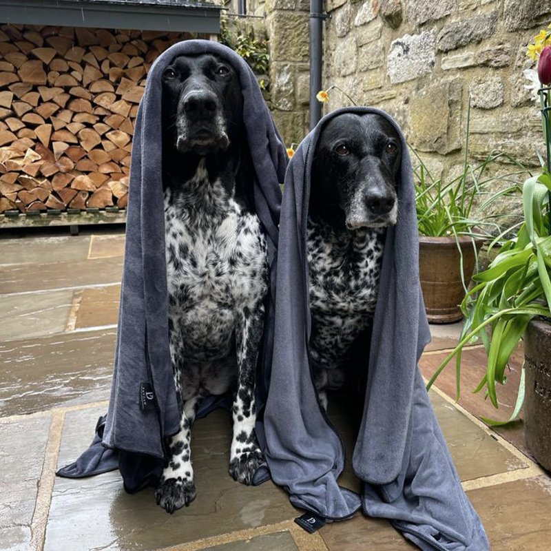 Luxury Dog Towel - Pawdaw of London