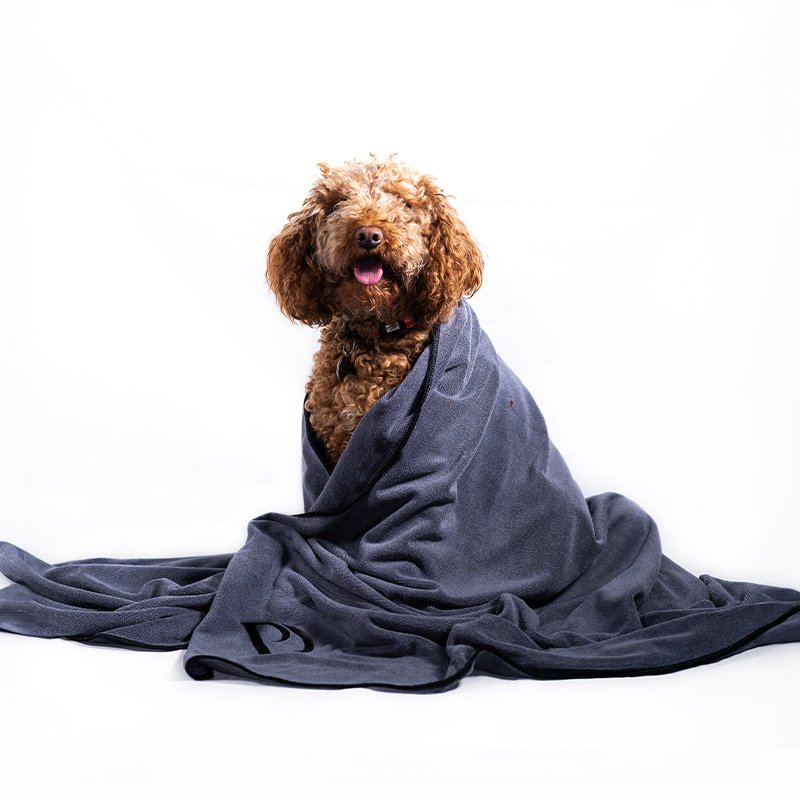 Luxury Dog Towel - Pawdaw of London