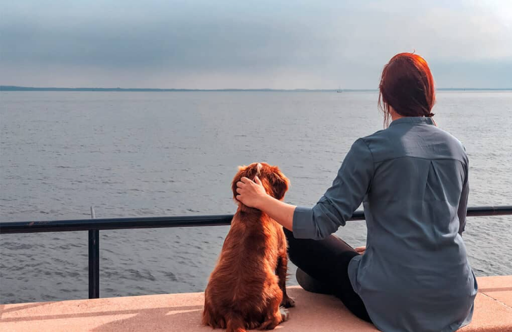 Wandering Bird's 9 Tips for Travelling with Your Dog: Essentials for a Safe and Stress-Free Trip