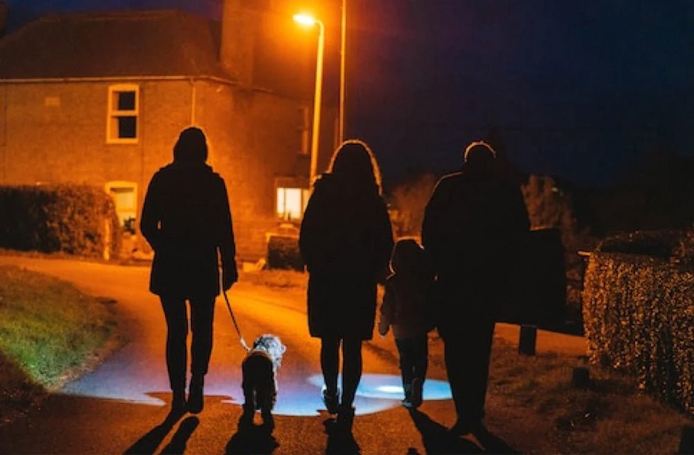 Walking In The Dark: 7 Tips To Make Dog Walking At Night Pleasant And Enjoyable - Pawdaw of London