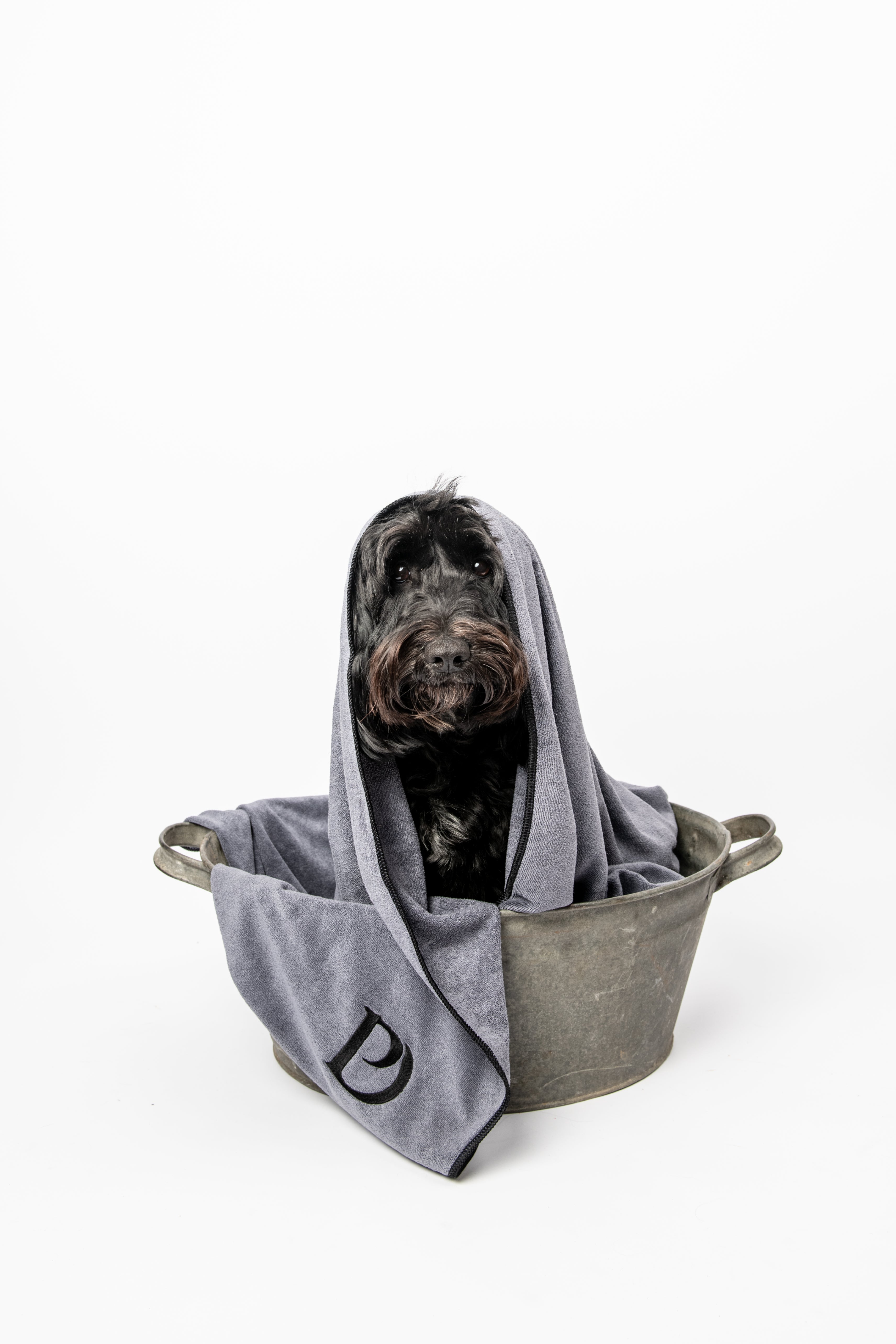Luxury Dog Towels - Pawdaw of London