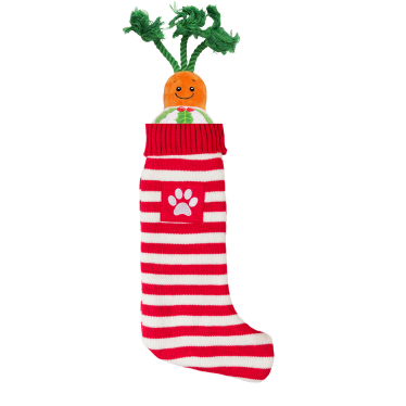 Christmas Dog Stocking Bundle (Carrot Cake) with Toys & Treats