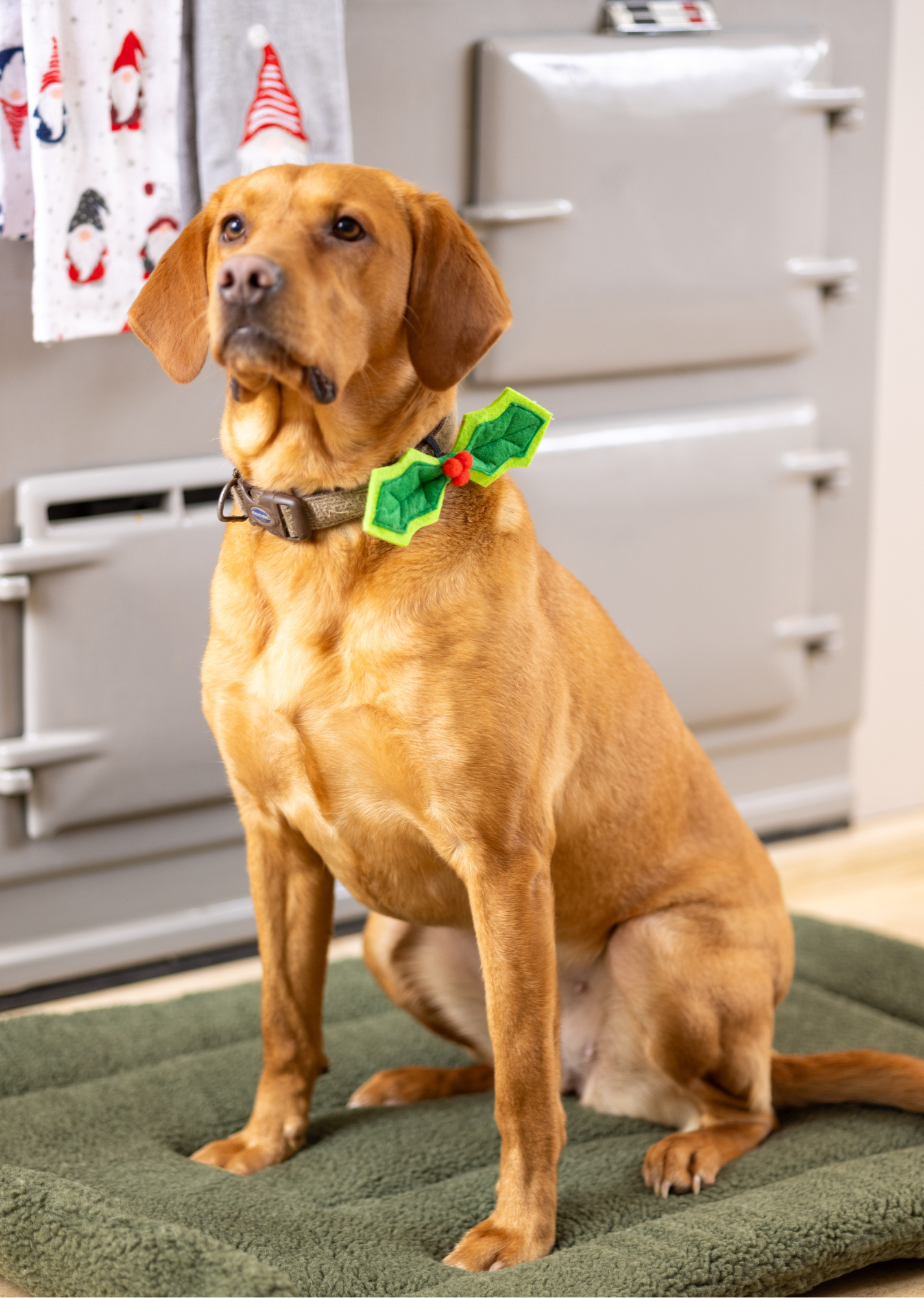 Christmas Holly Bow Tie