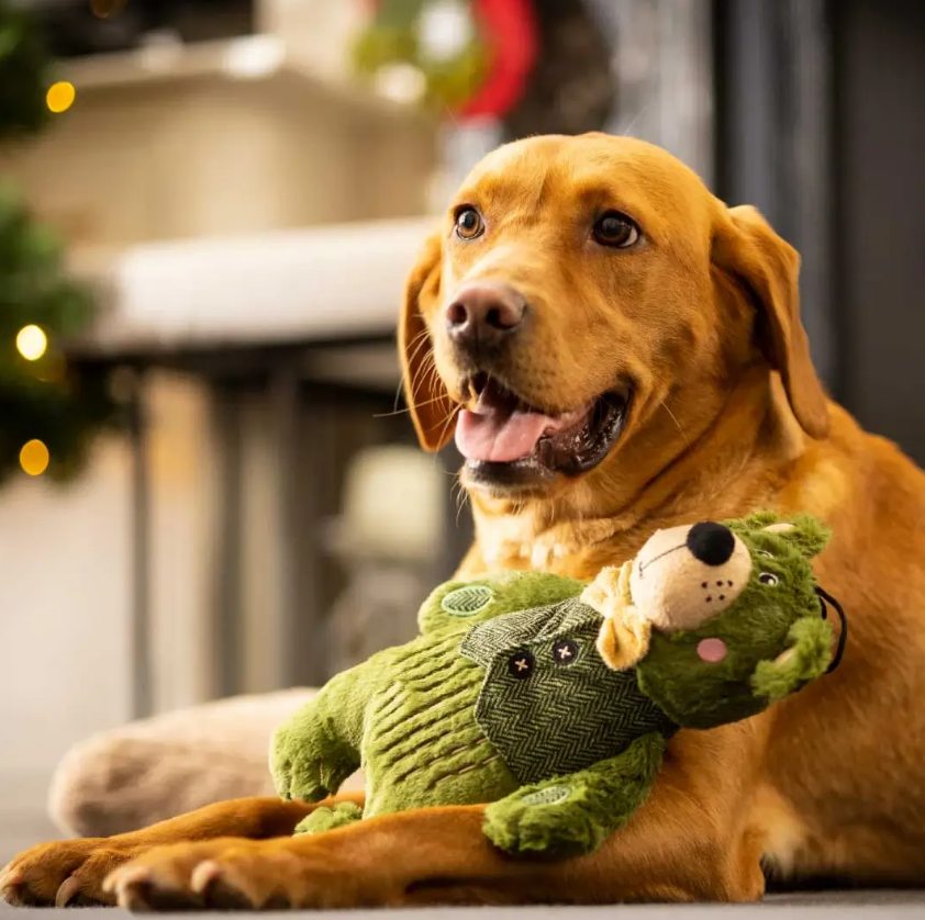 Forest Green Bear Dog Toy