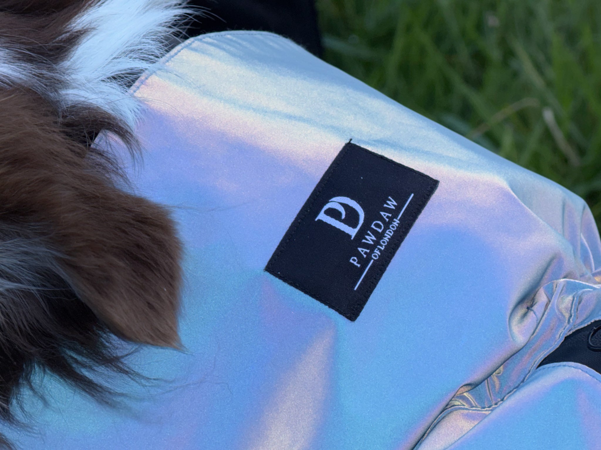 Waterproof Rainbow Reflective Raincoat for Dogs - Sky Blue - NEW!!
