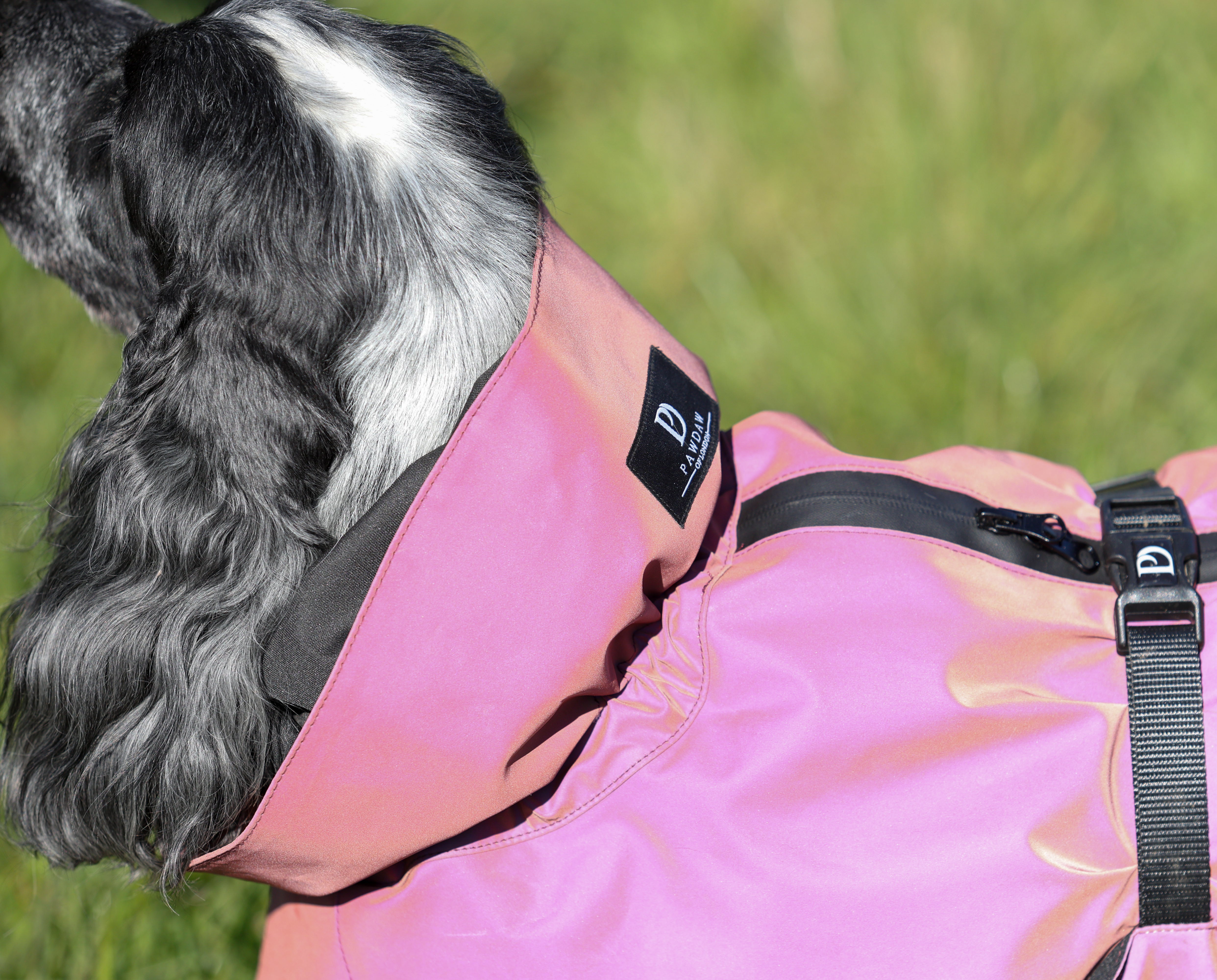 Waterproof Rainbow Reflective Raincoat for Dogs - Burgundy - NEW!!