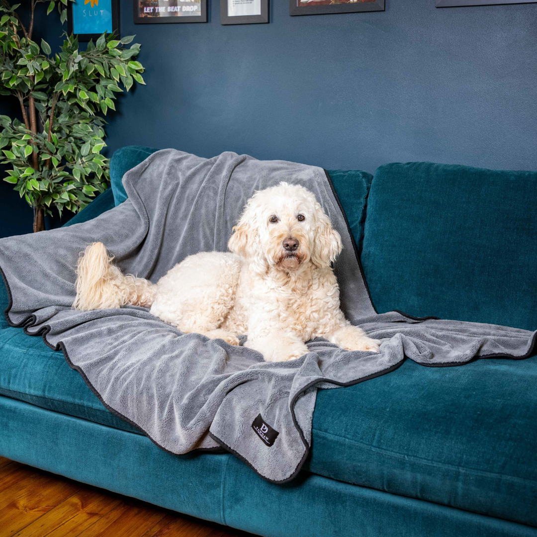 *NEW* Luxury Throw & Dog Blanket