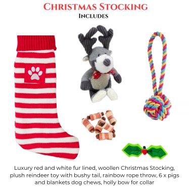 Christmas Striped Dog Stocking Bundle with Toys & Treats - Pawdaw of London