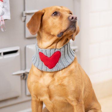 Cosy Heart Dog Snood - Pawdaw of London