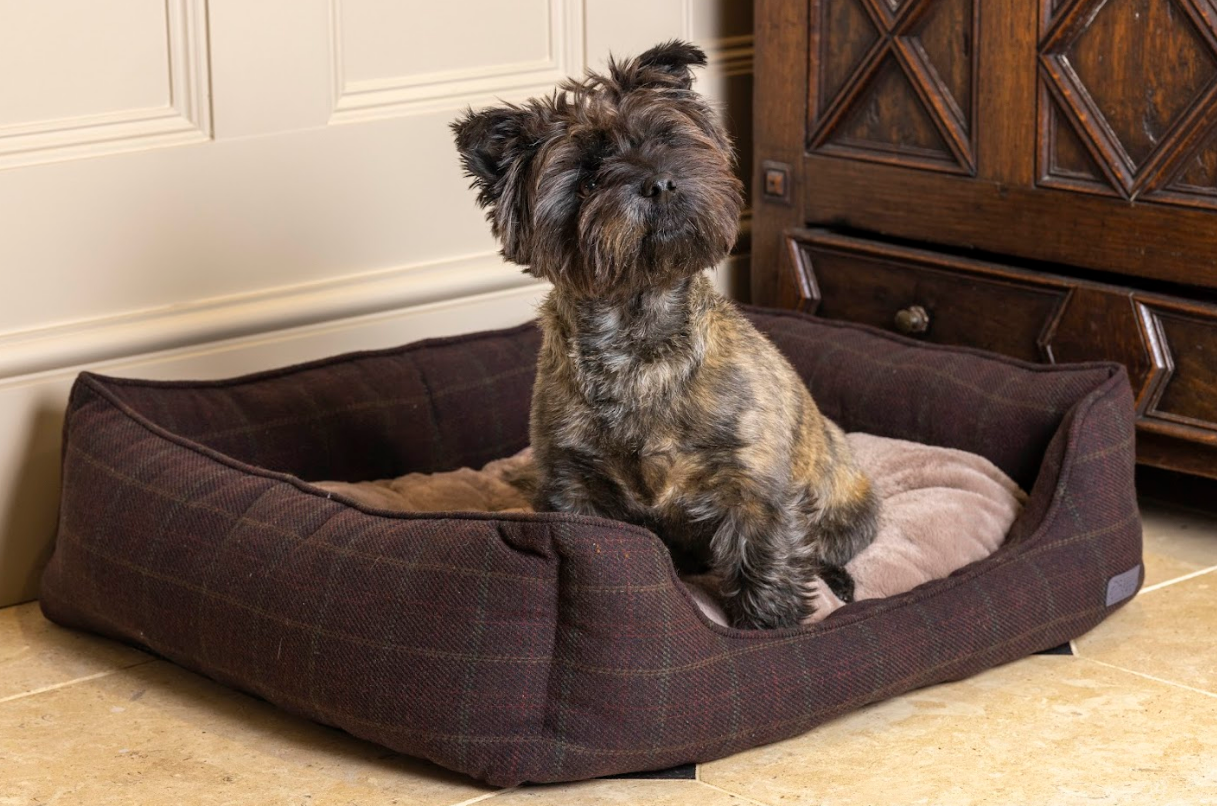 Berry Tweed and Plush Rectangle Dog Bed