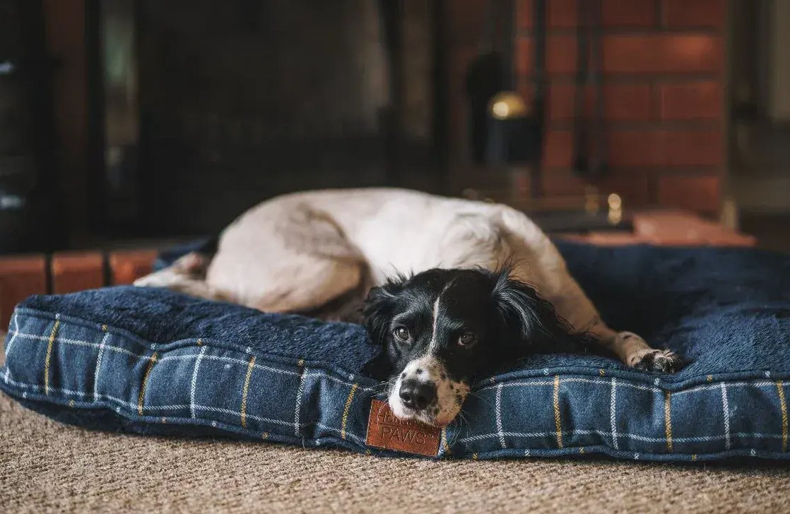 Navy Check Tweed Boxed Duvet Dog Bed - Pawdaw of London