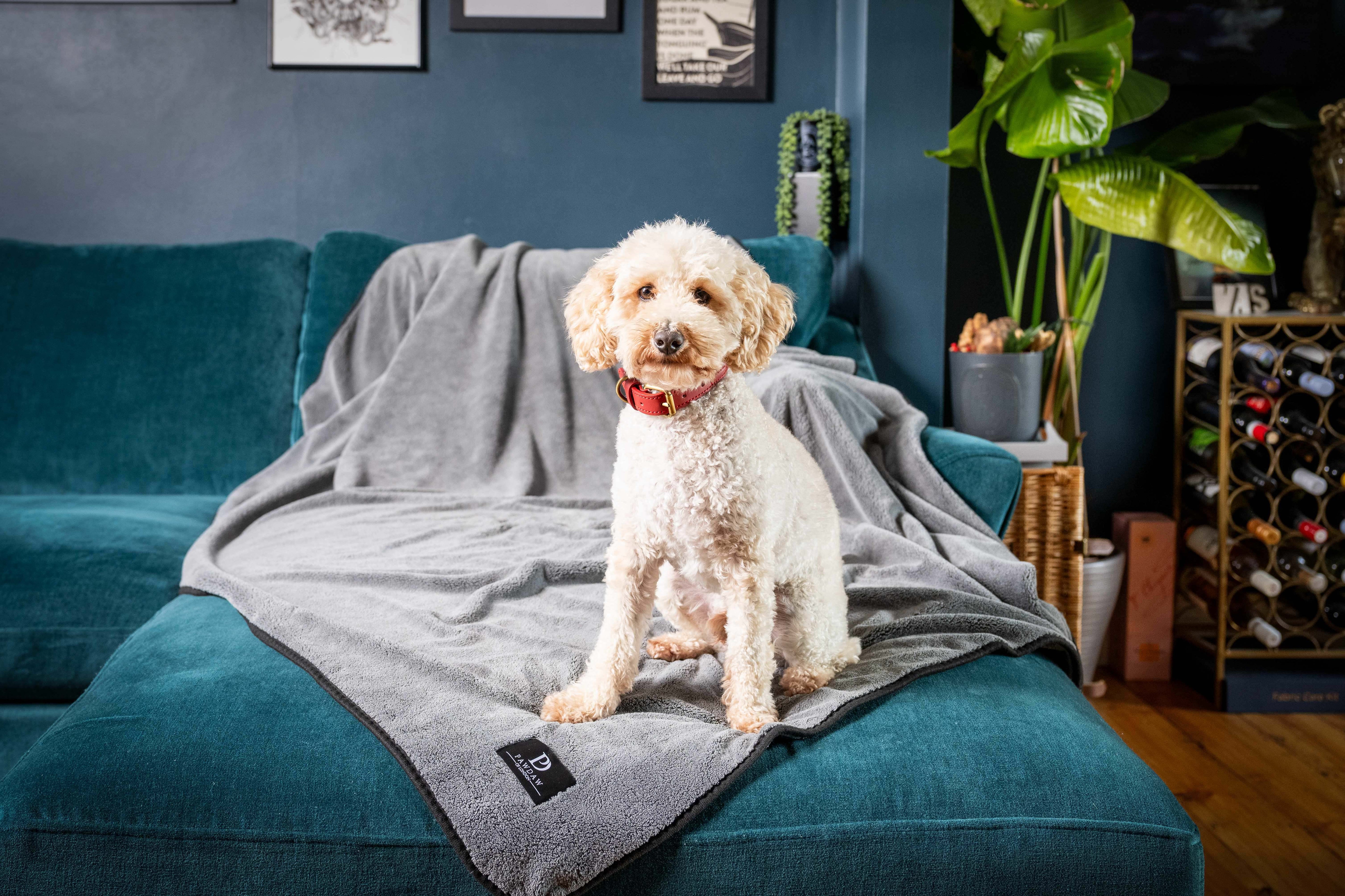 **NEW** Luxury Sofa Throw & Dog Blanket - Pawdaw of London