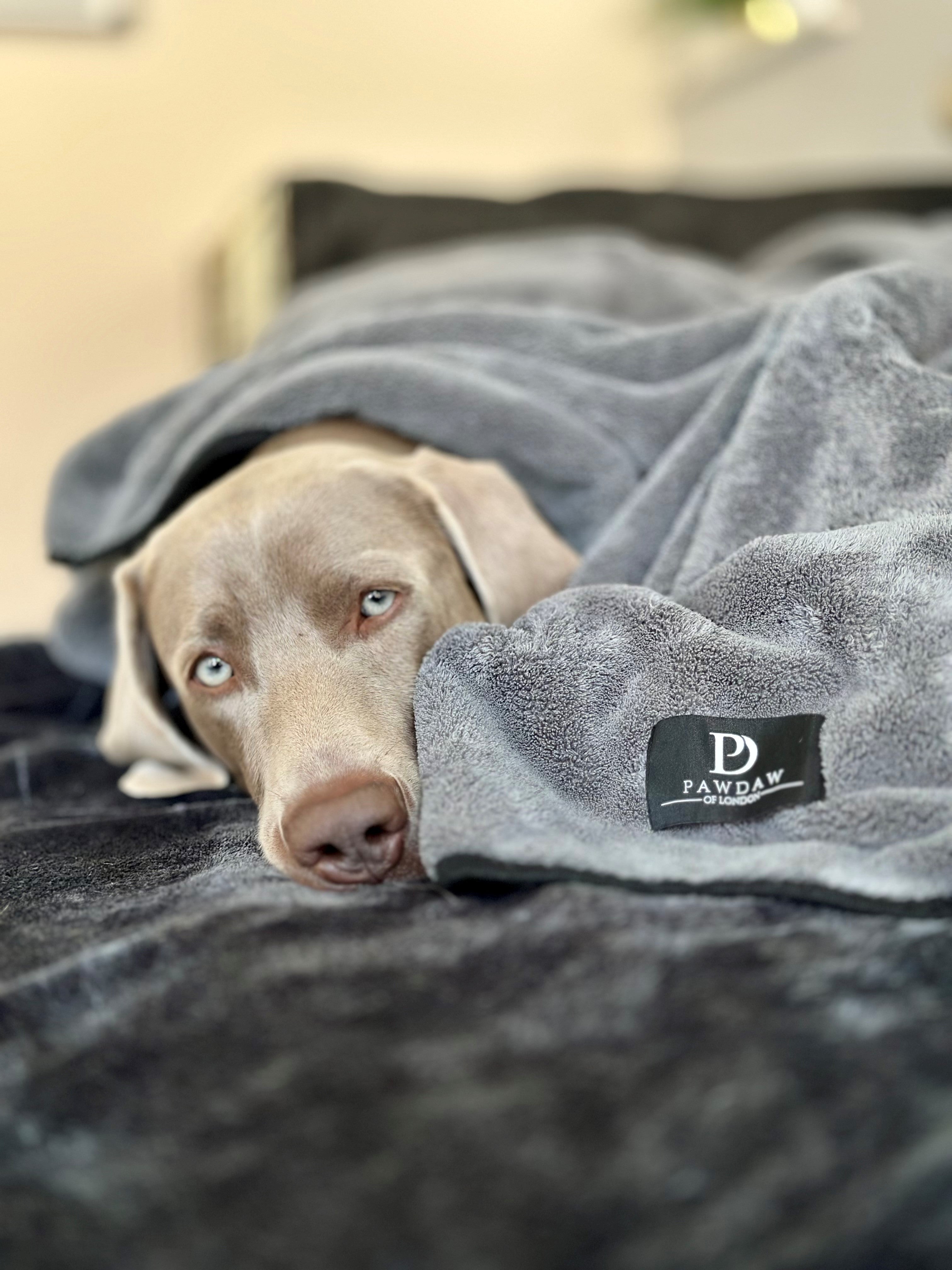 *NEW* Luxury Throw & Dog Blanket - Pawdaw of London