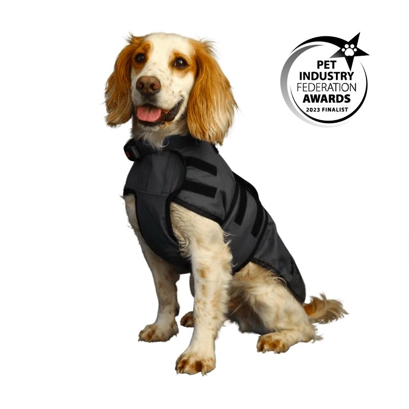 Luxury Dog Cooling Coat Pawdaw of London