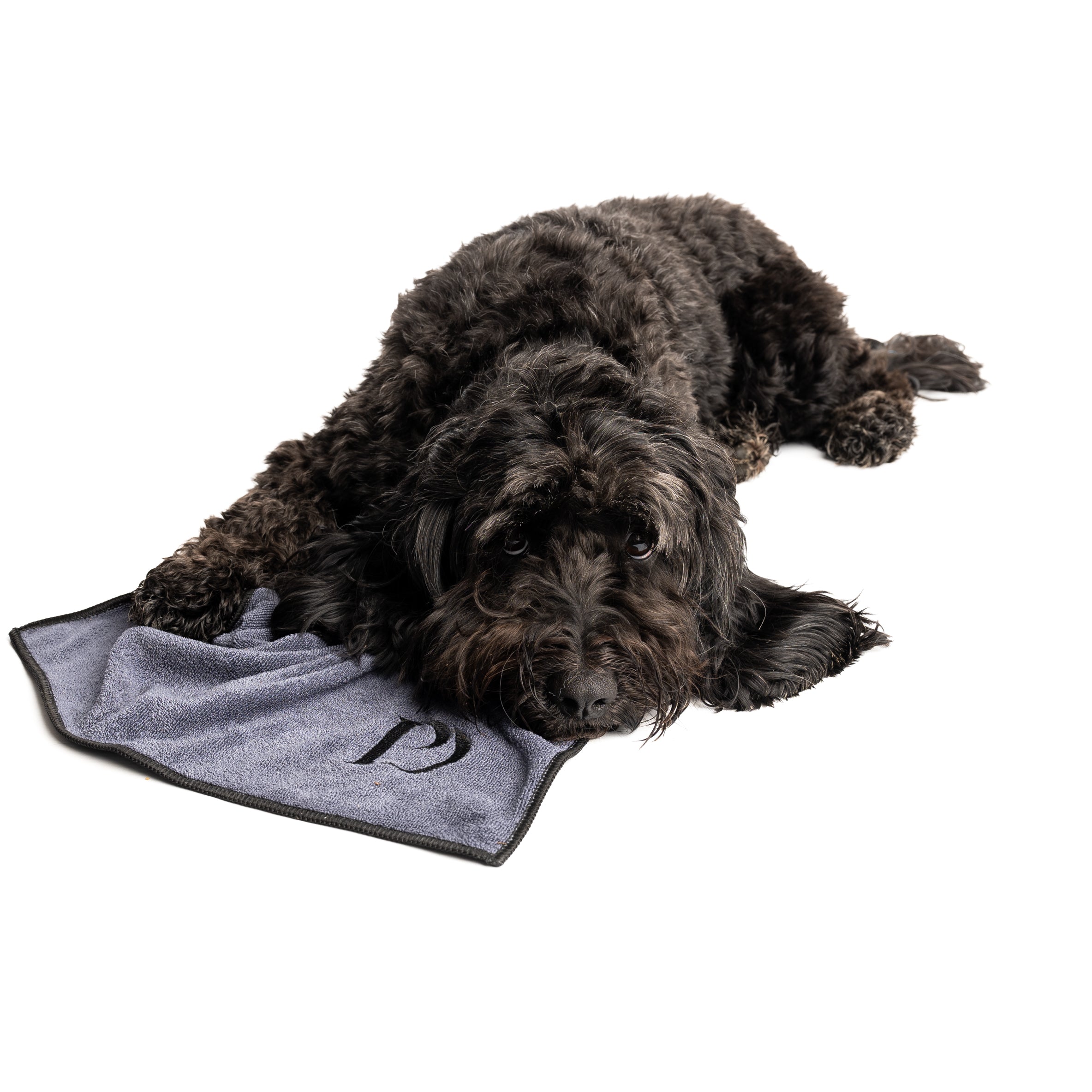 Luxury Dog Paw Towels - Pawdaw of London
