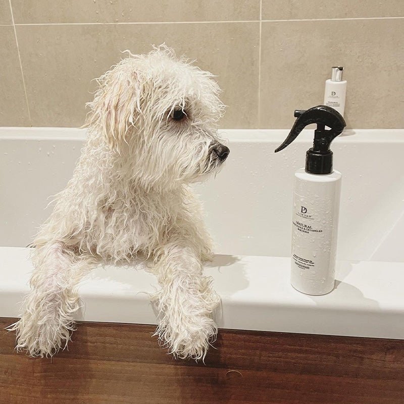 Natural Conditioner & Detangler for Dogs - Pawdaw of London
