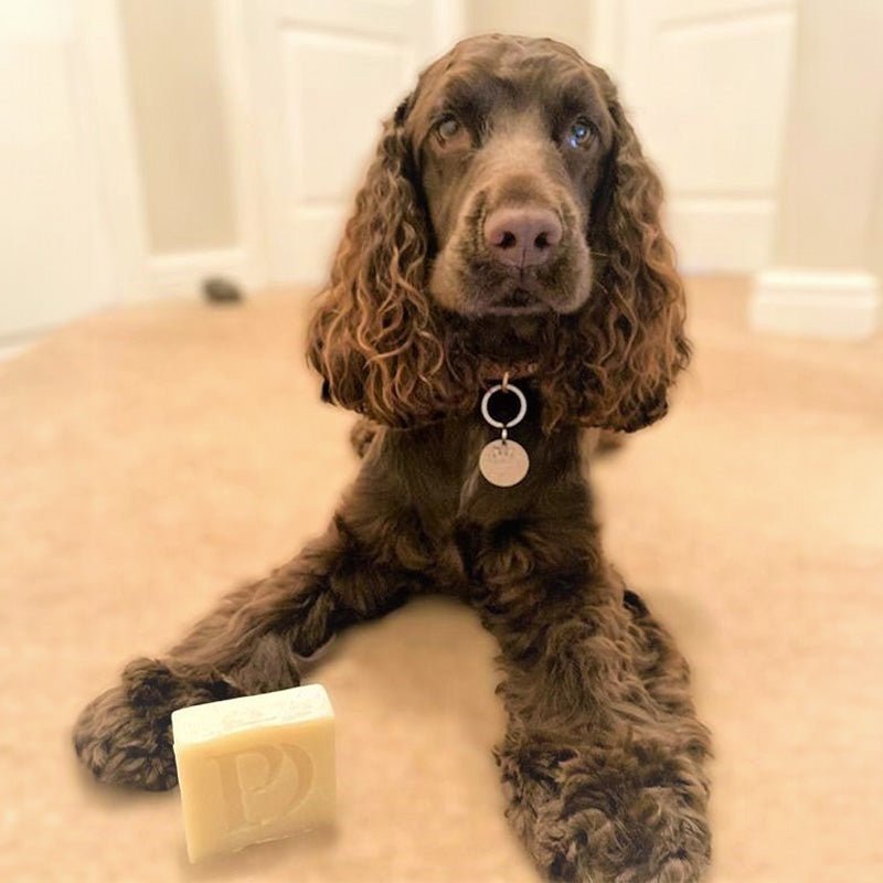 Natural Neem Oil Shampoo Bar for Dogs - Pawdaw of London