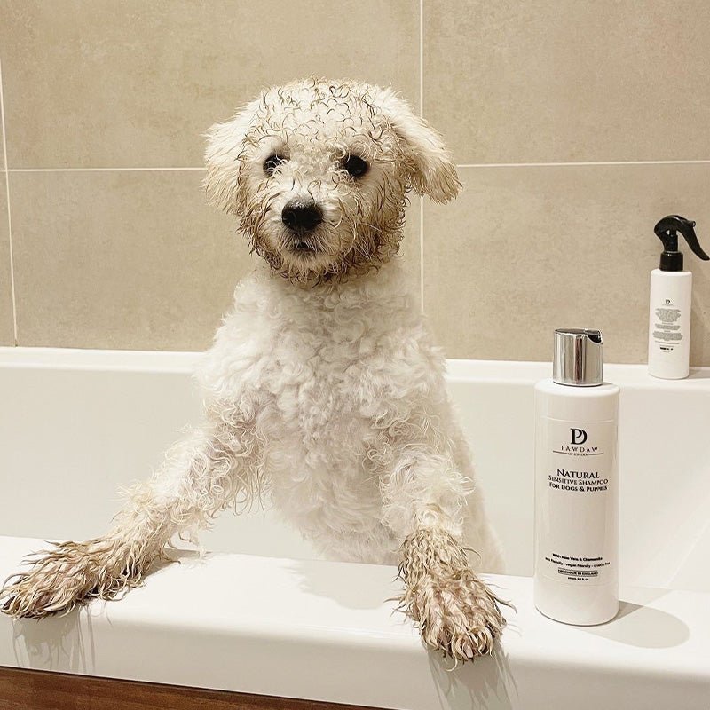 Natural Sensitive Shampoo for Dogs & Puppies - Pawdaw of London